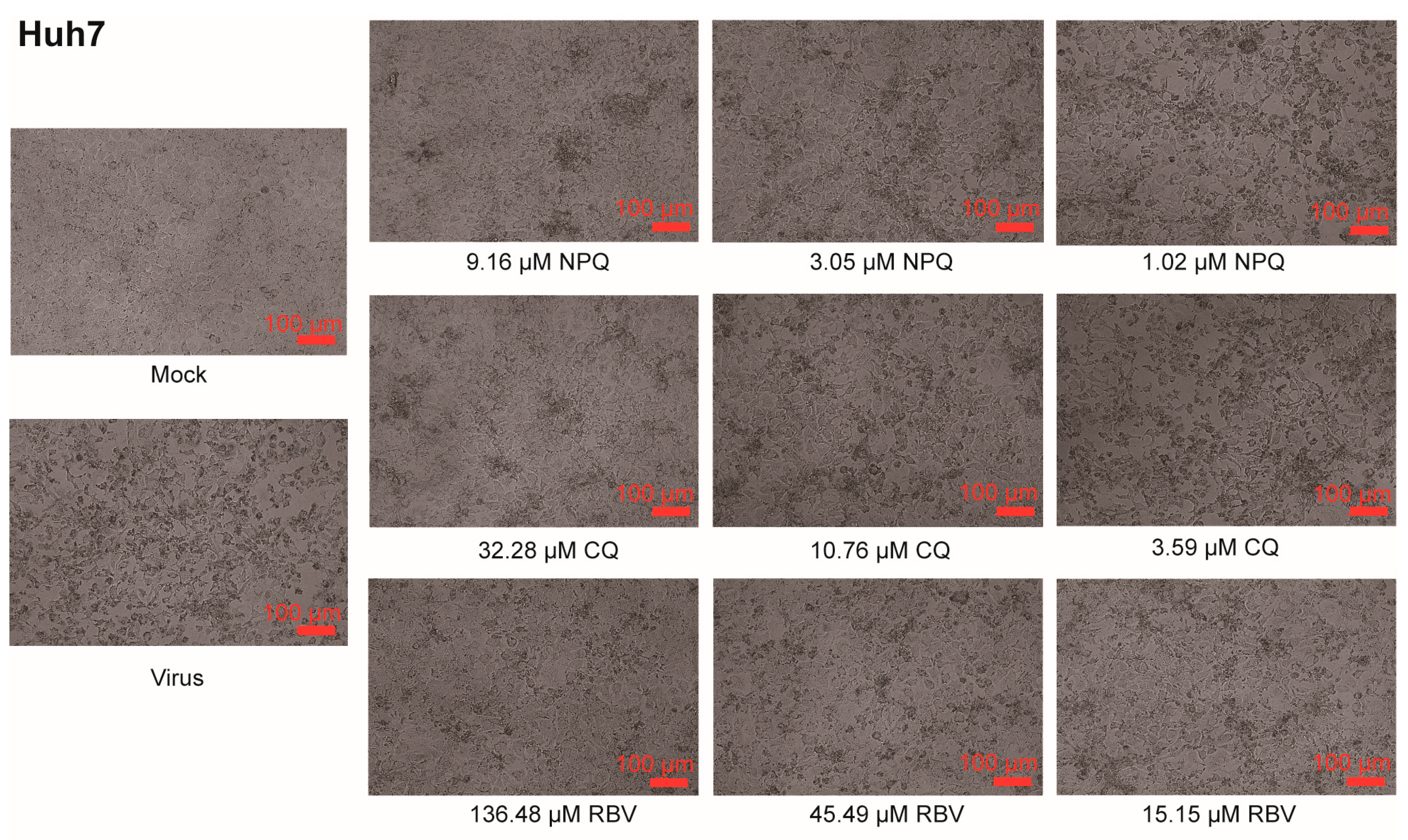 Molecules 27 00712 g002