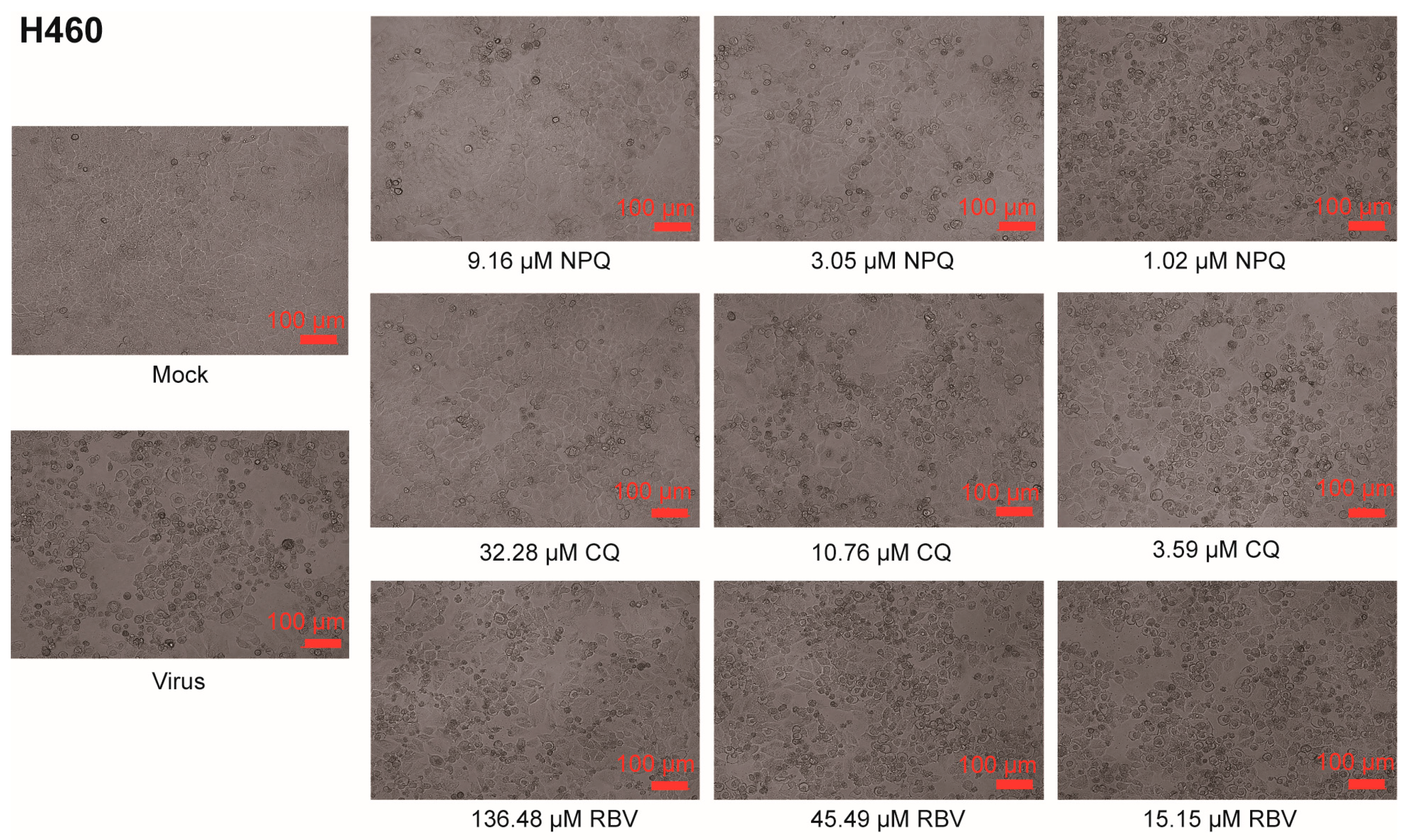 Molecules 27 00712 g003
