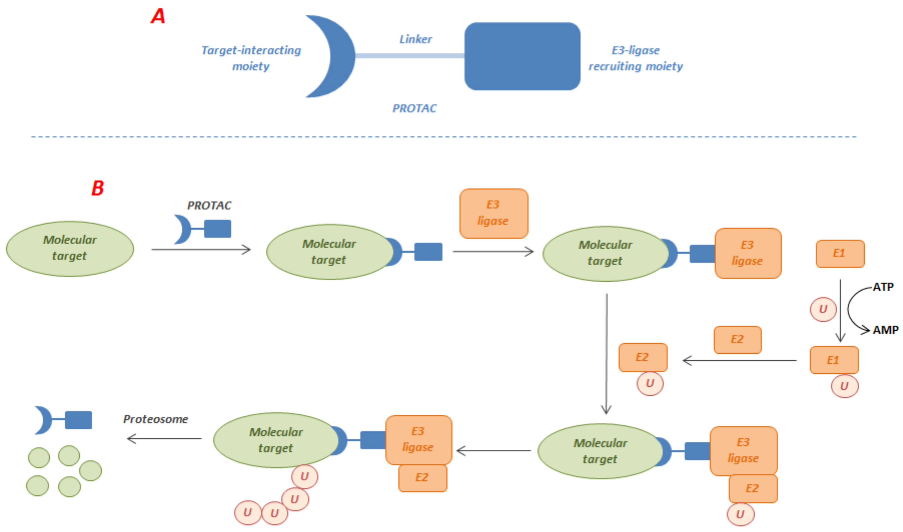 Molecules 27 00715 g003