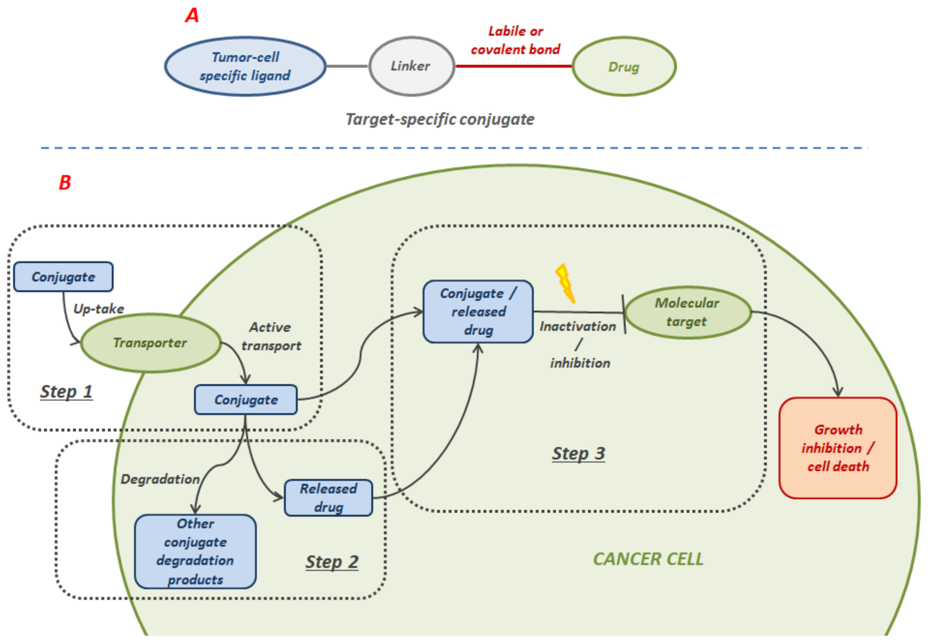 Molecules 27 00715 g011