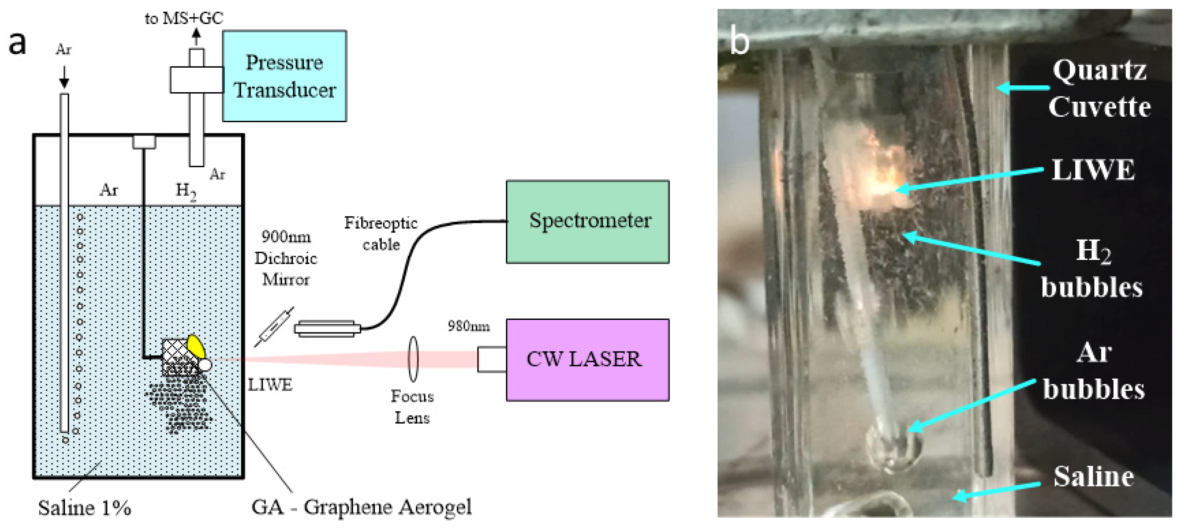 Molecules 27 00718 g005