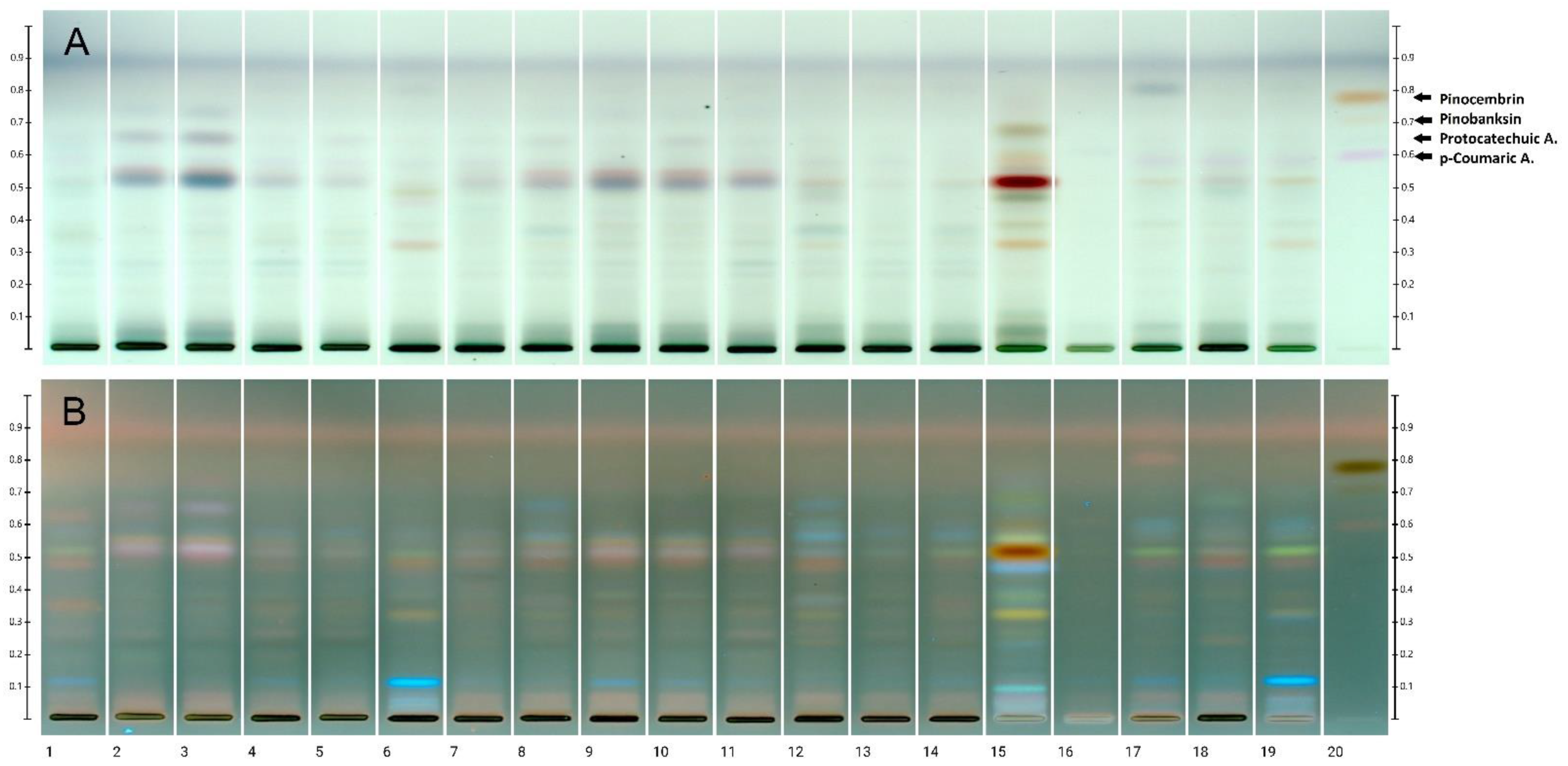 Molecules 27 00720 g002 Molecules 27 00720 g002