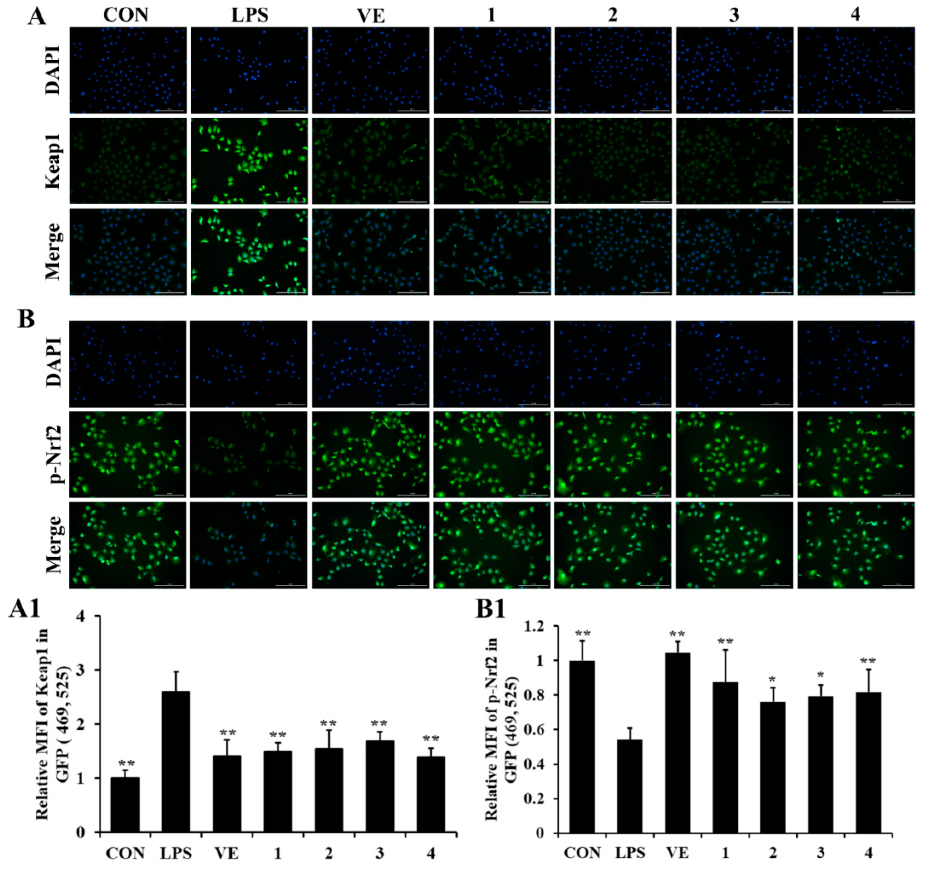 Molecules 27 00722 g004