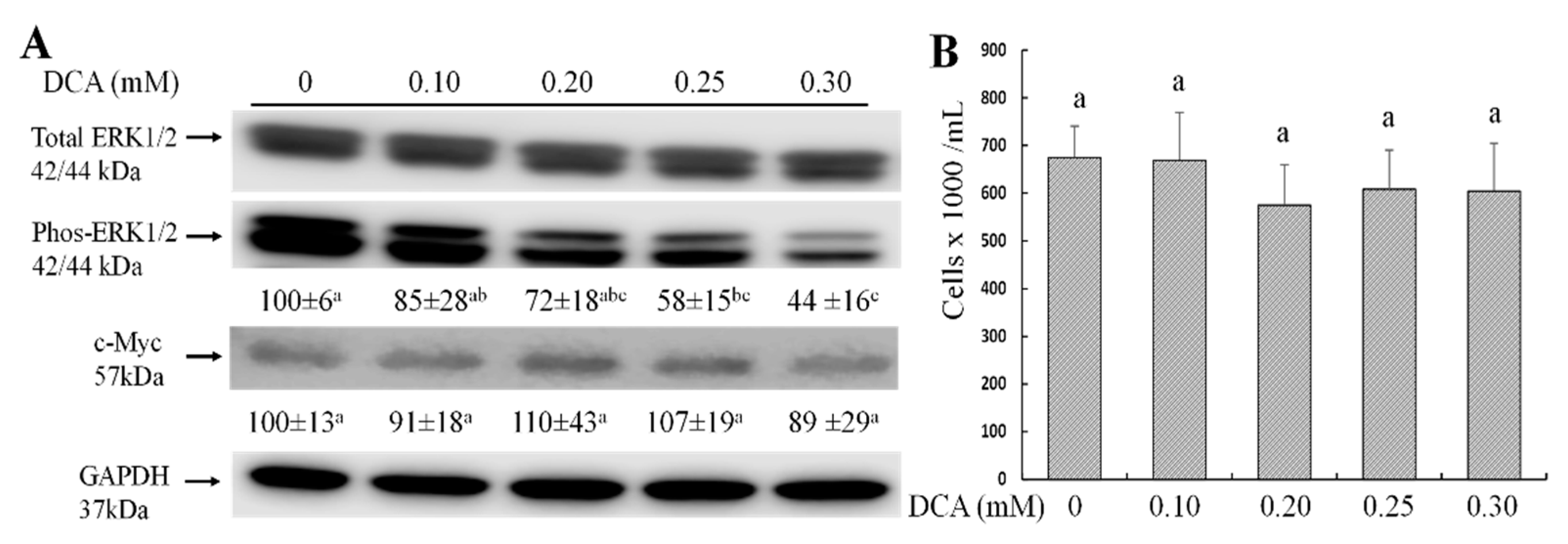 Molecules 27 00723 g003