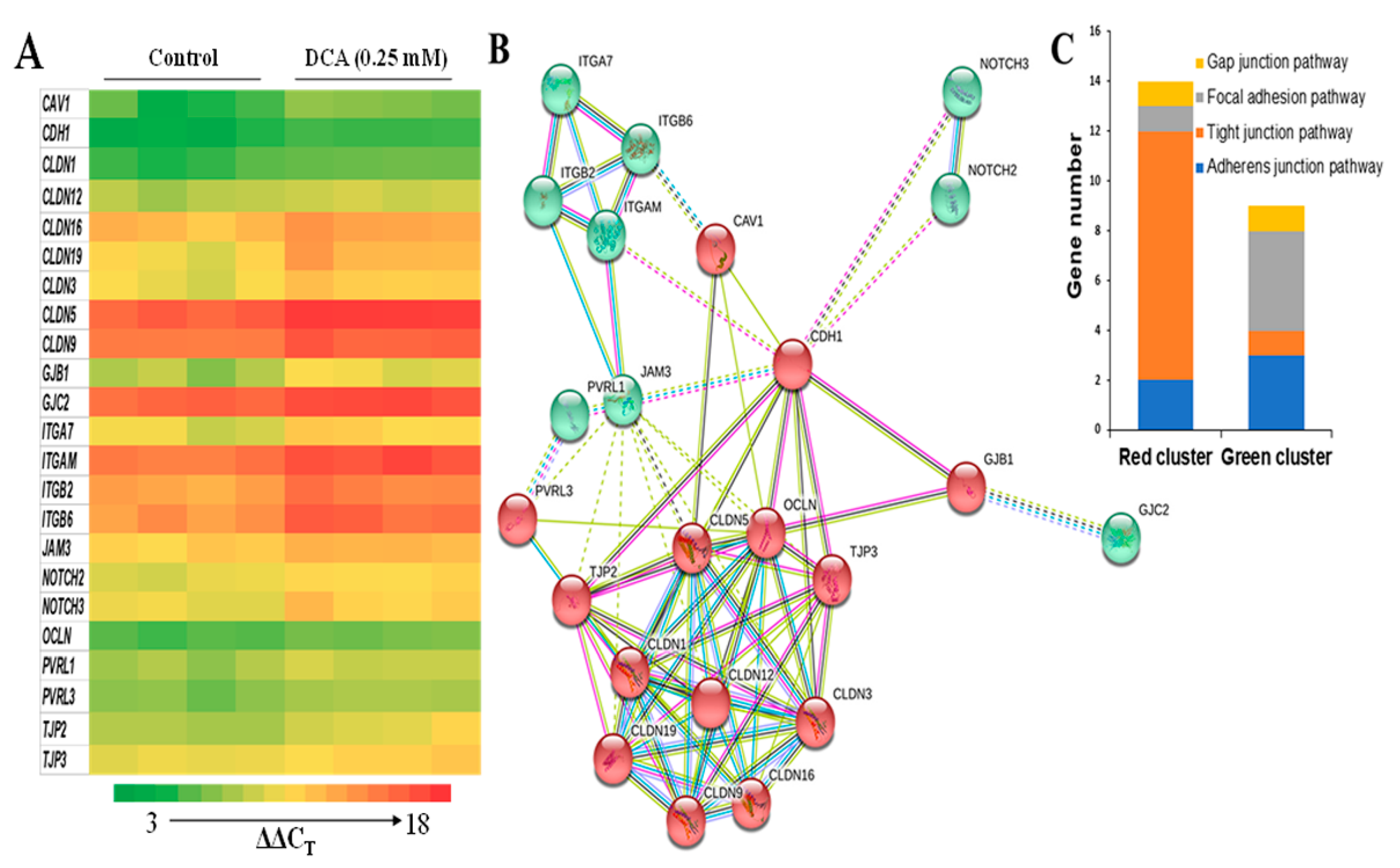 Molecules 27 00723 g004