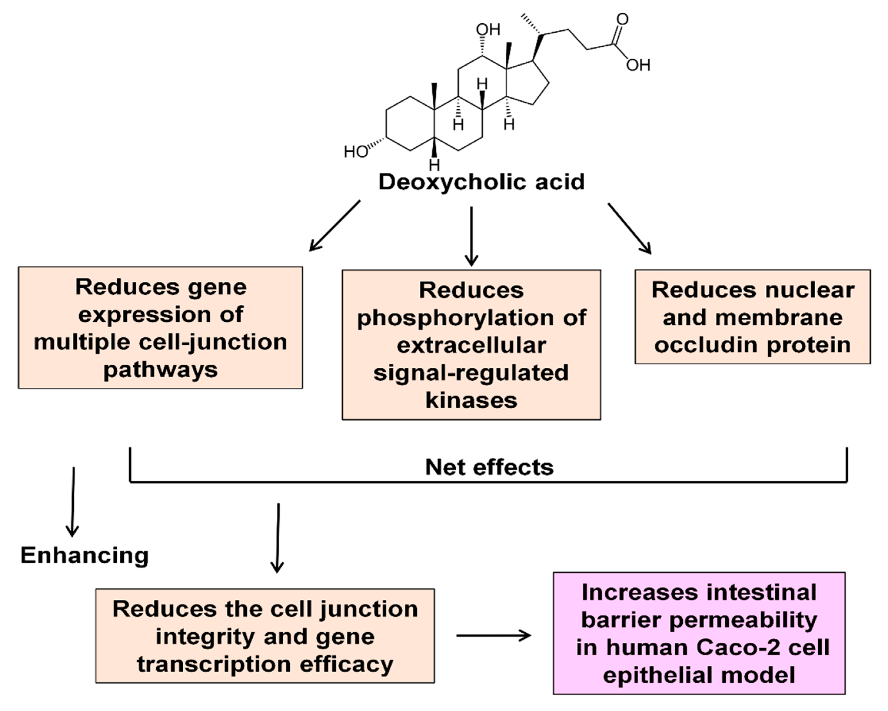 Molecules 27 00723 g006