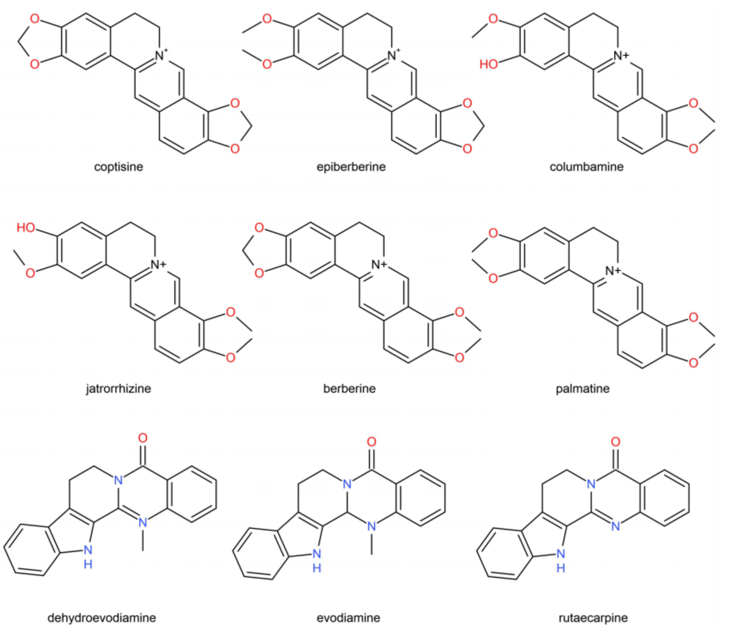 Molecules 27 00724 g001