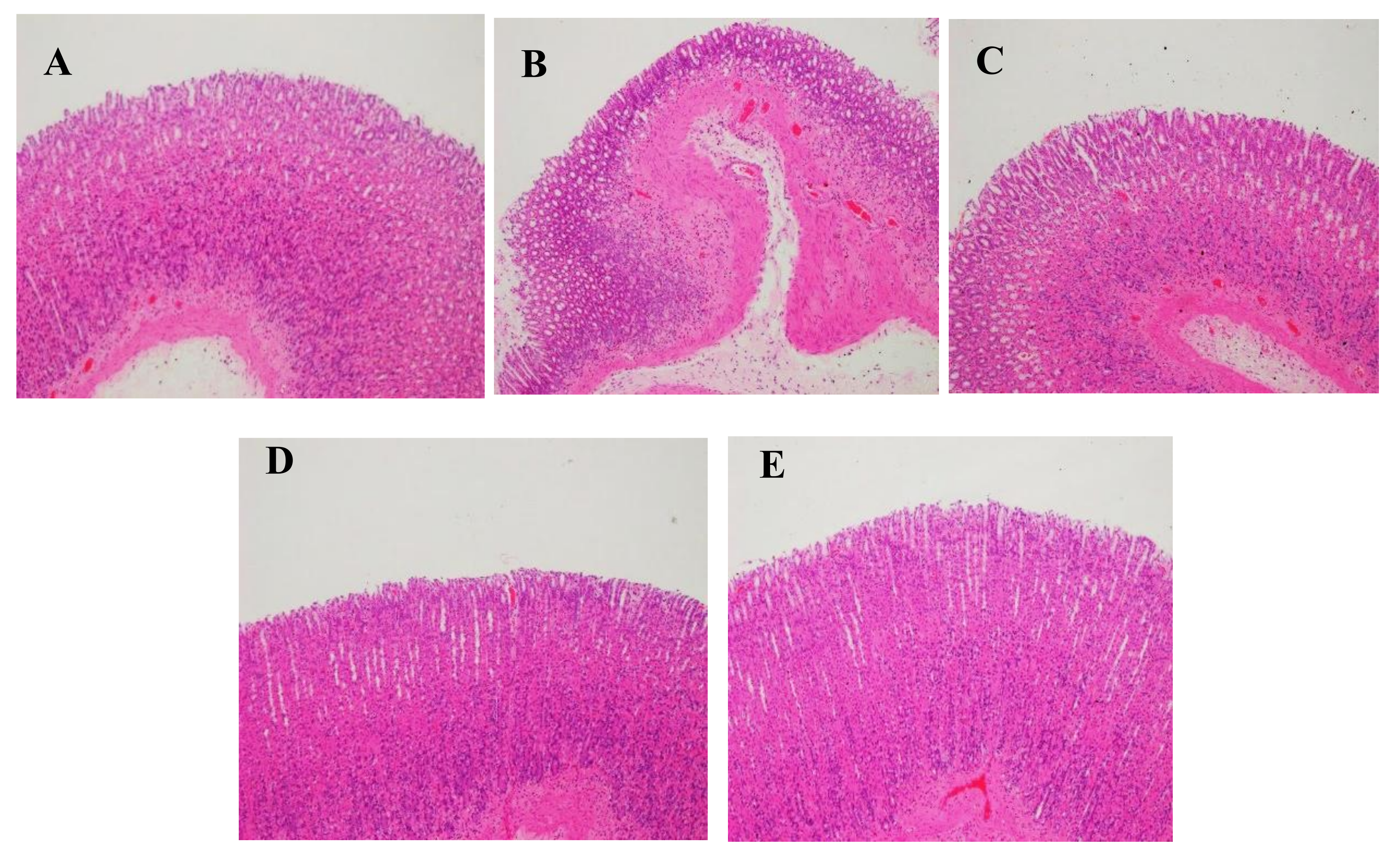 Molecules 27 00724 g011