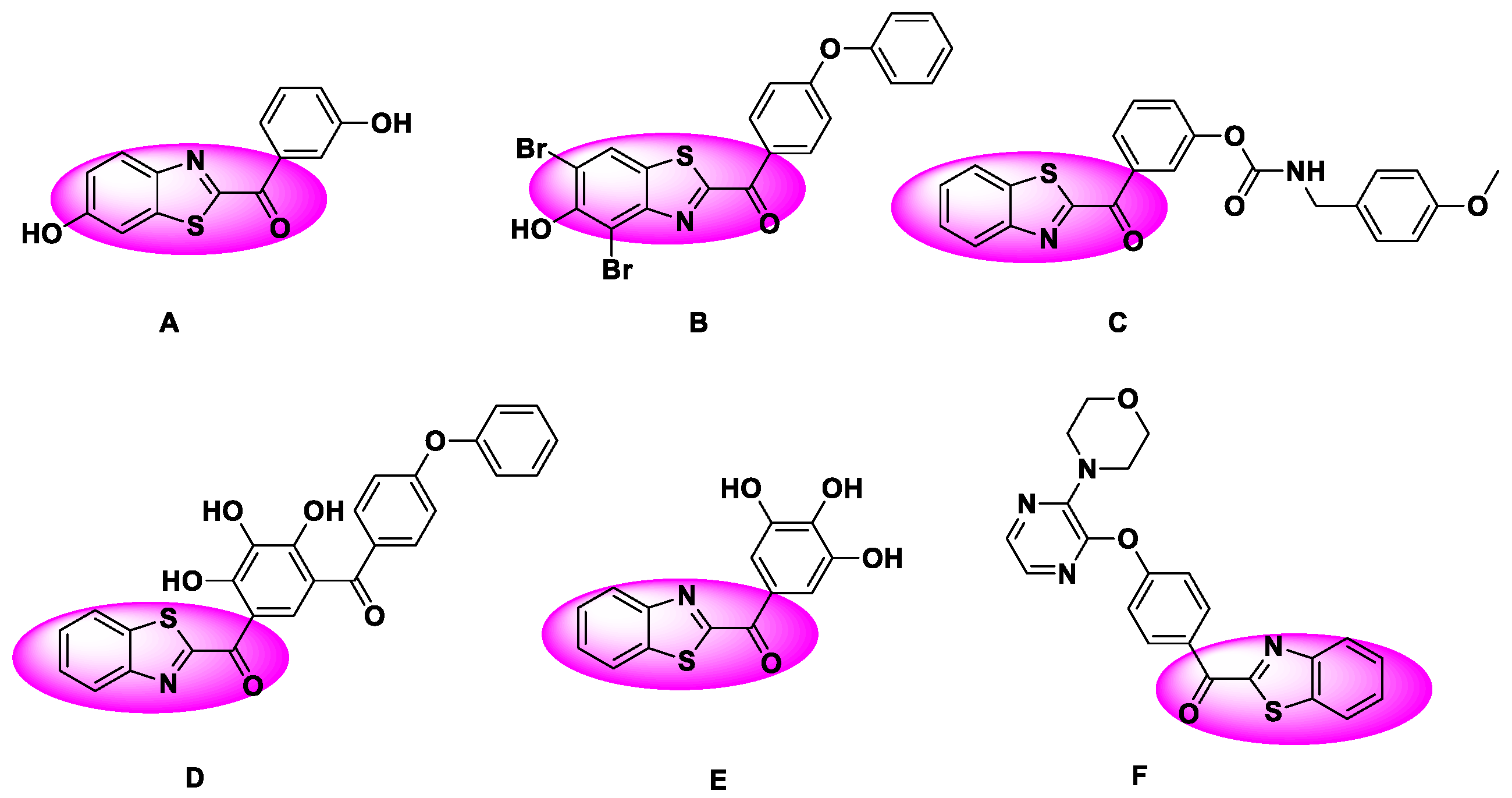 Molecules 27 00726 g001