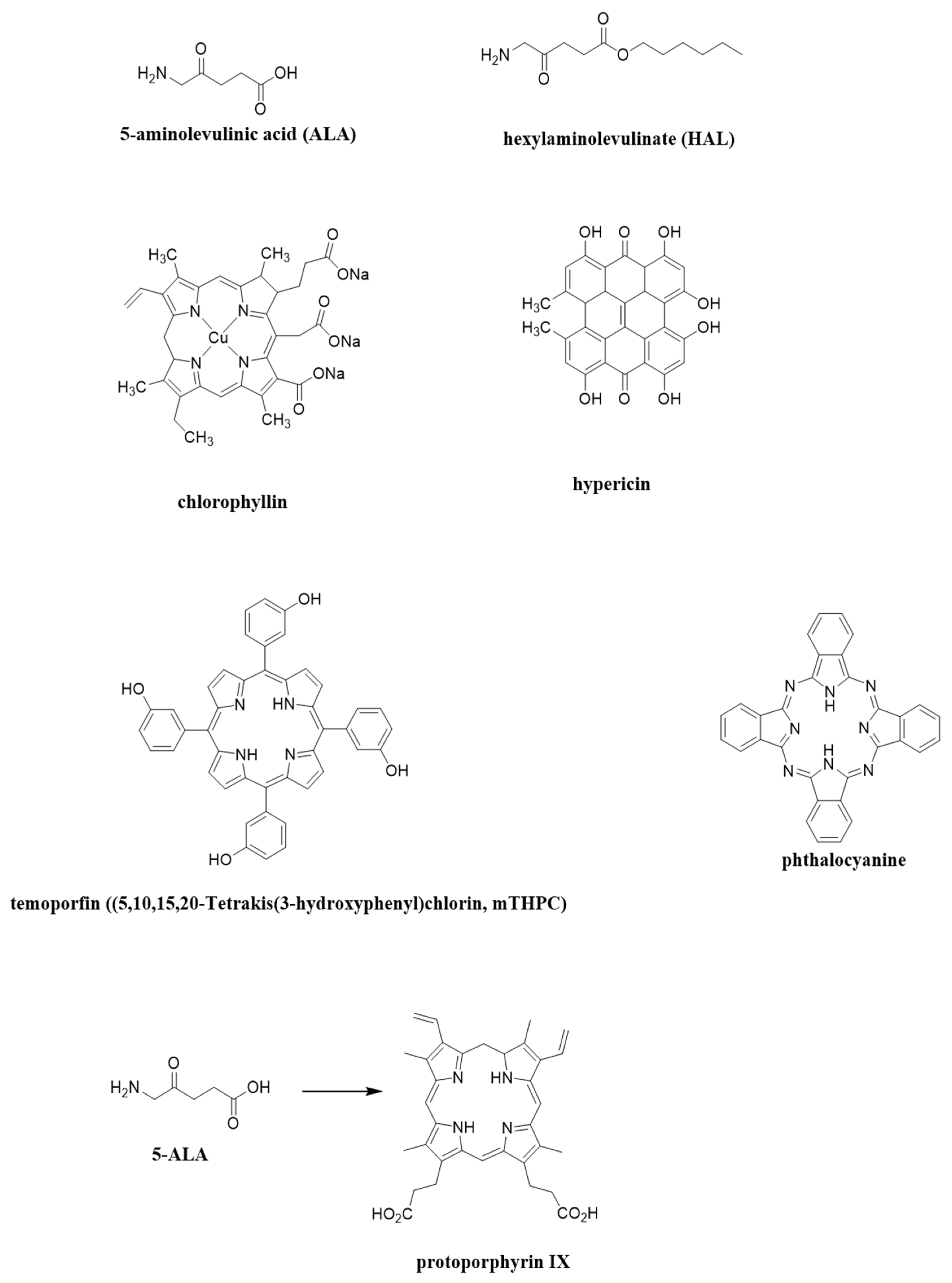 Molecules 27 00731 g002