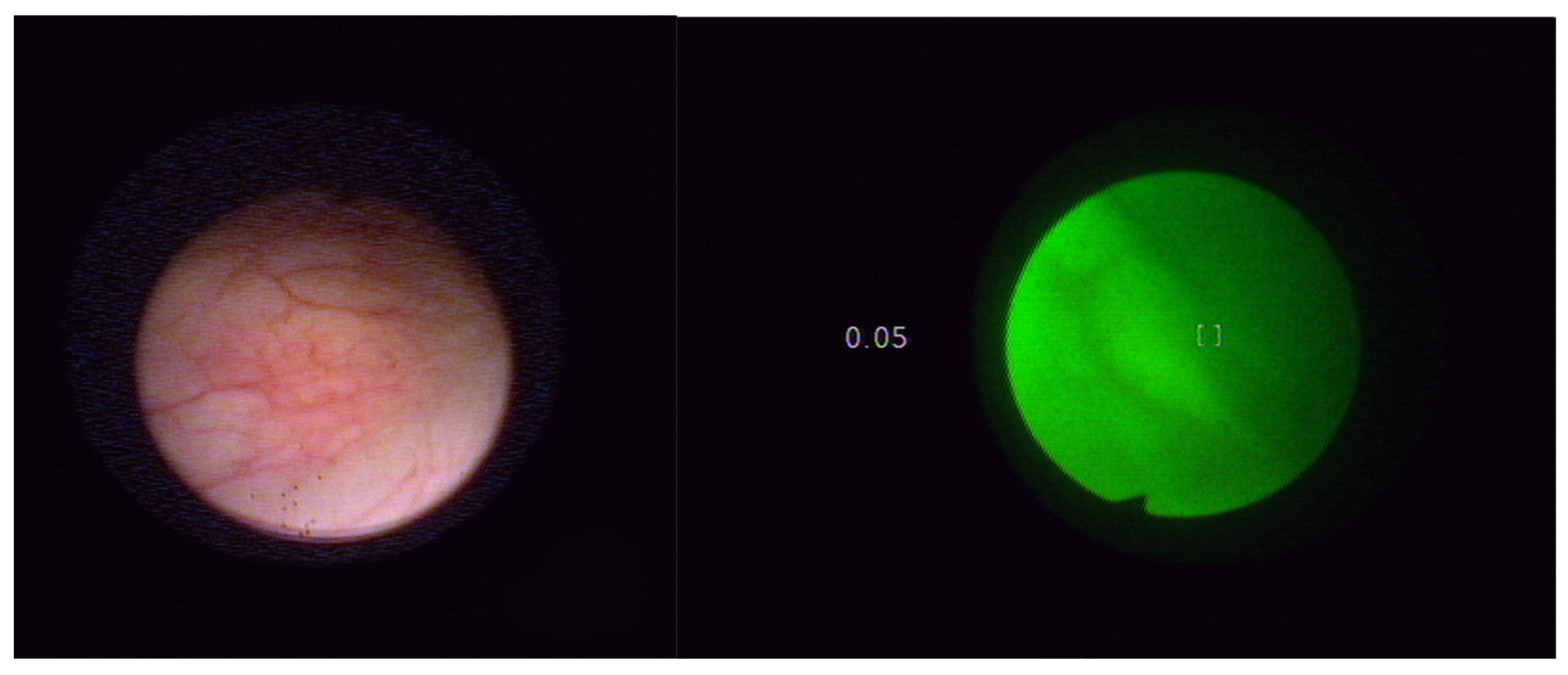 Molecules 27 00731 g003