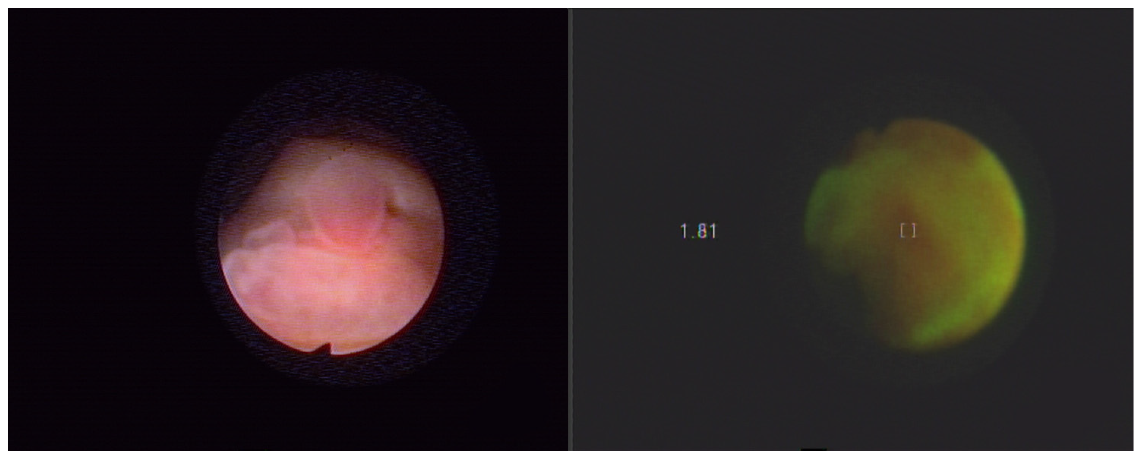 Molecules 27 00731 g004