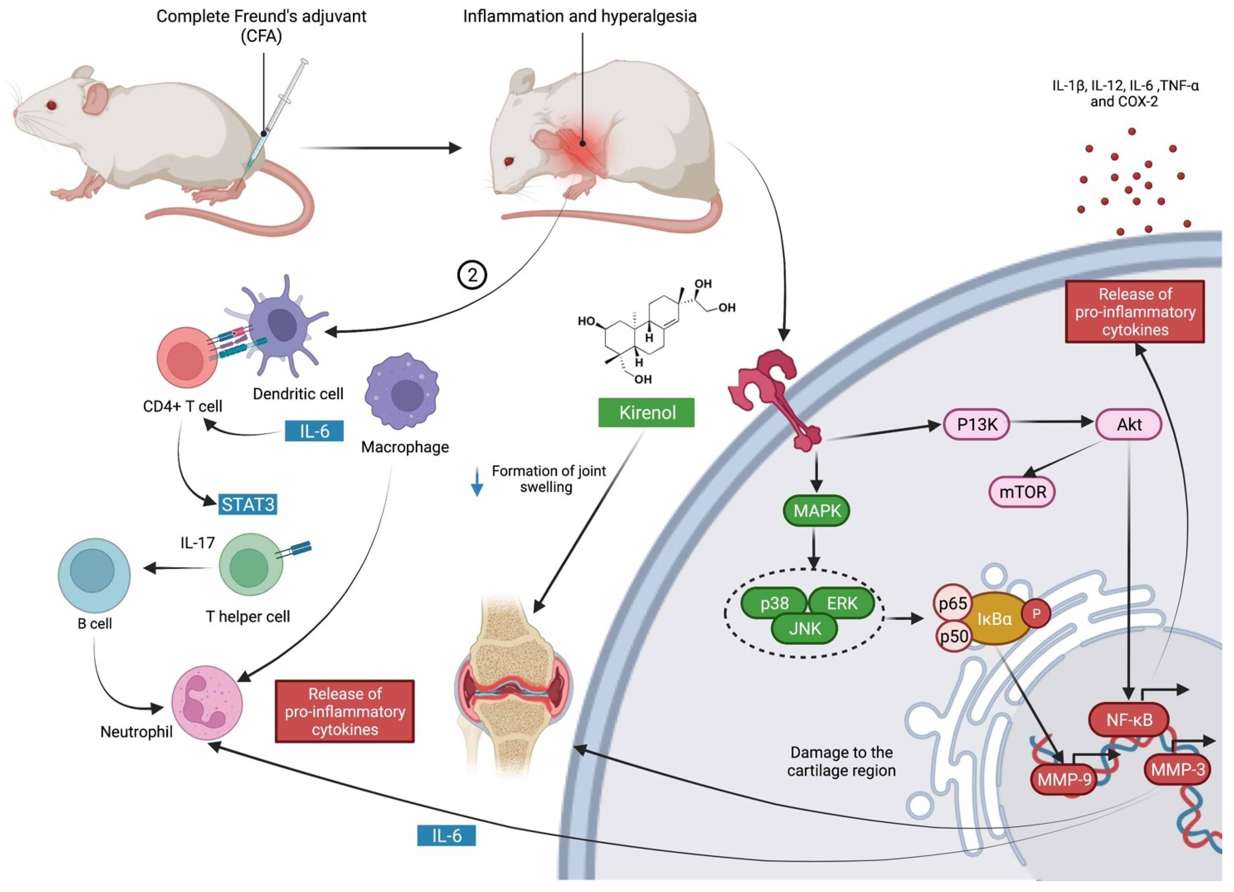 Molecules 27 00734 g002