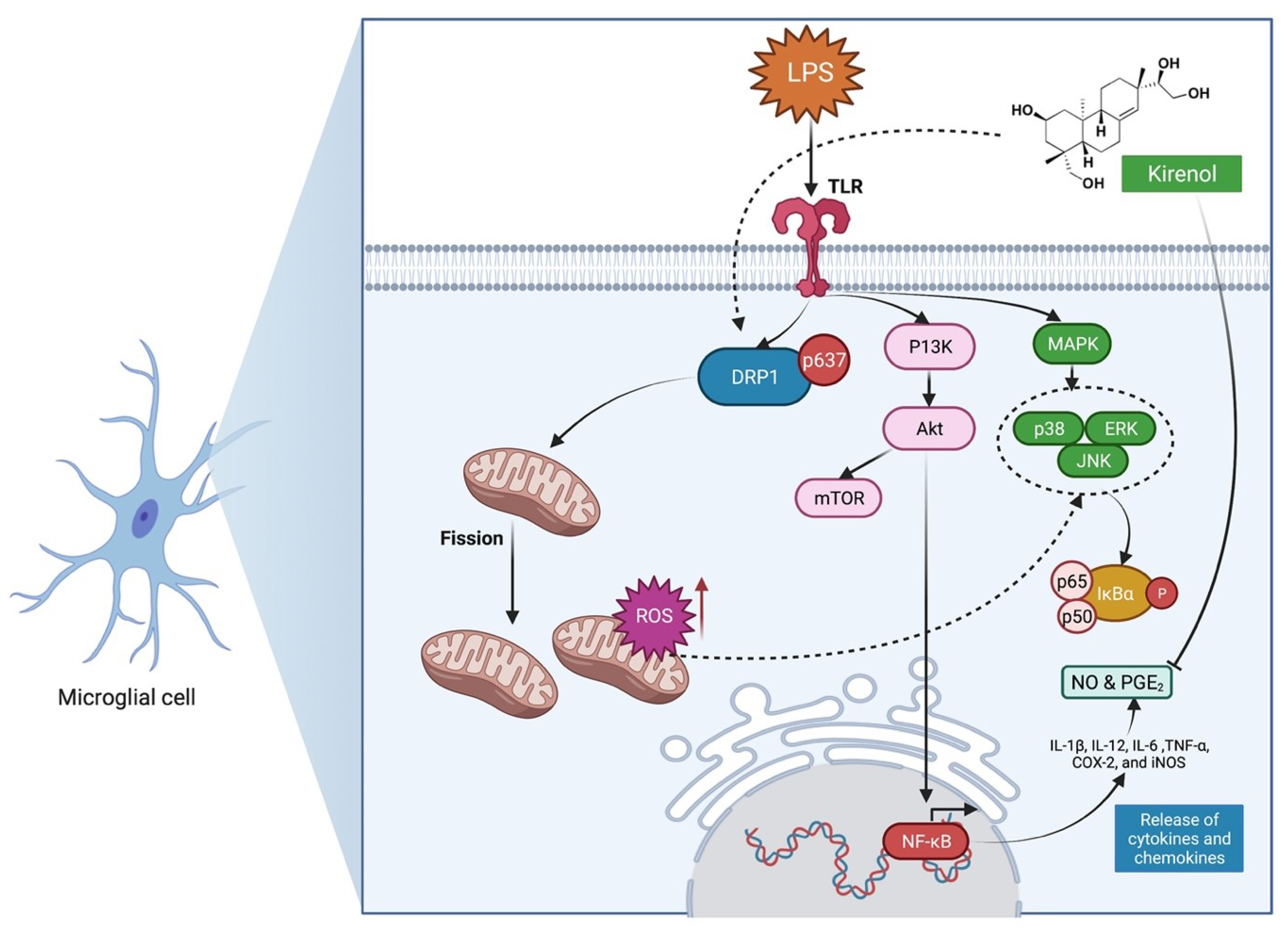 Molecules 27 00734 g003
