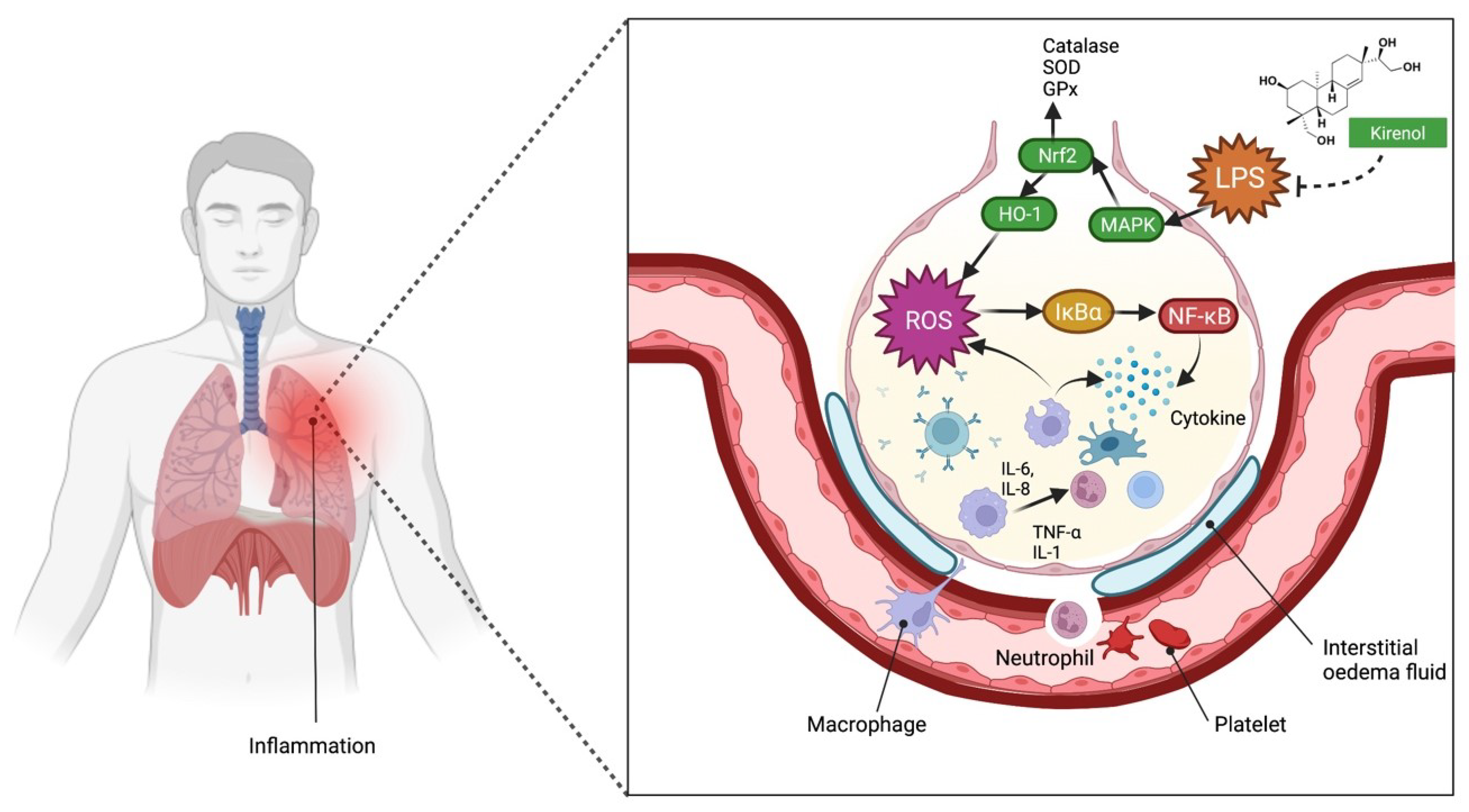 Molecules 27 00734 g004