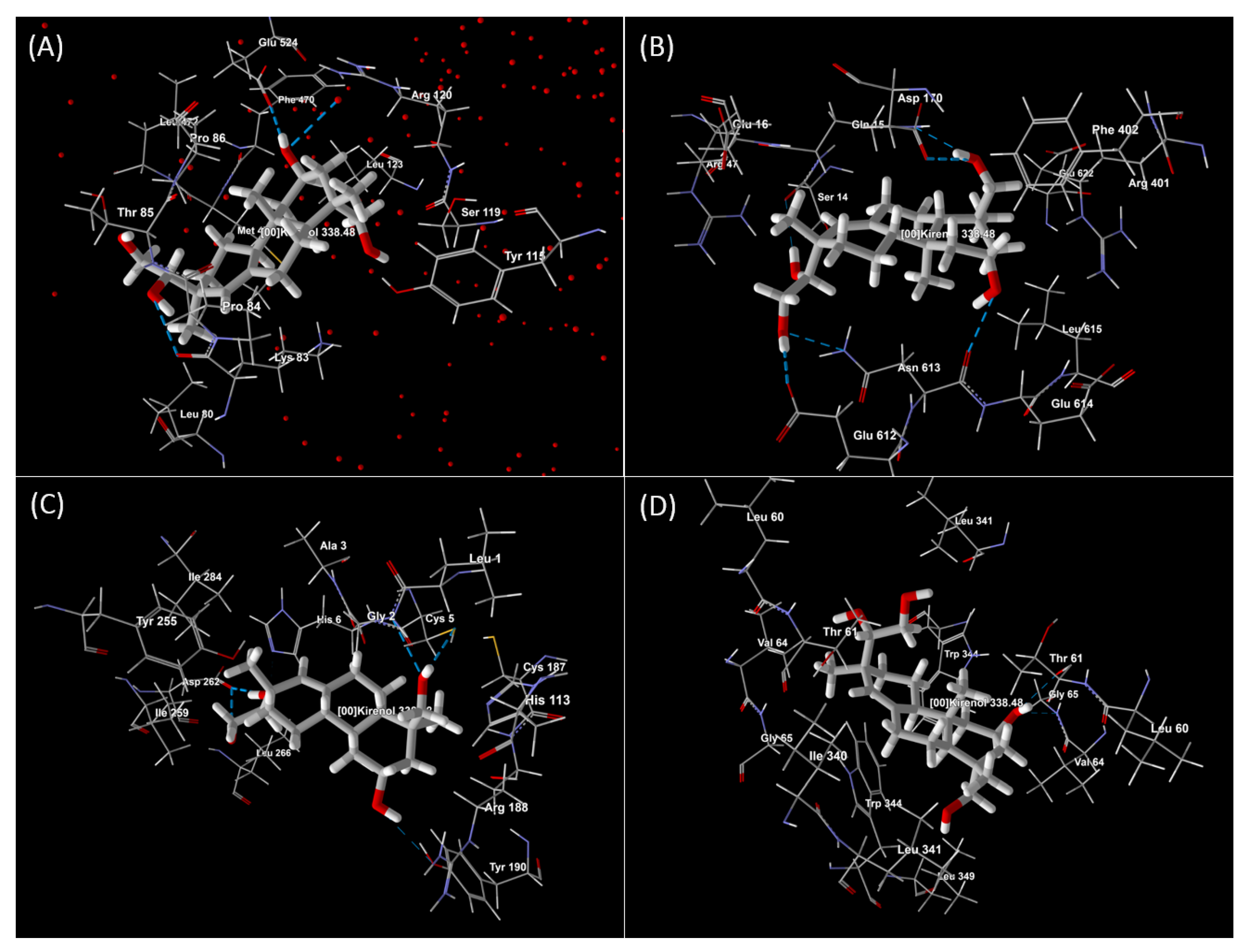 Molecules 27 00734 g006