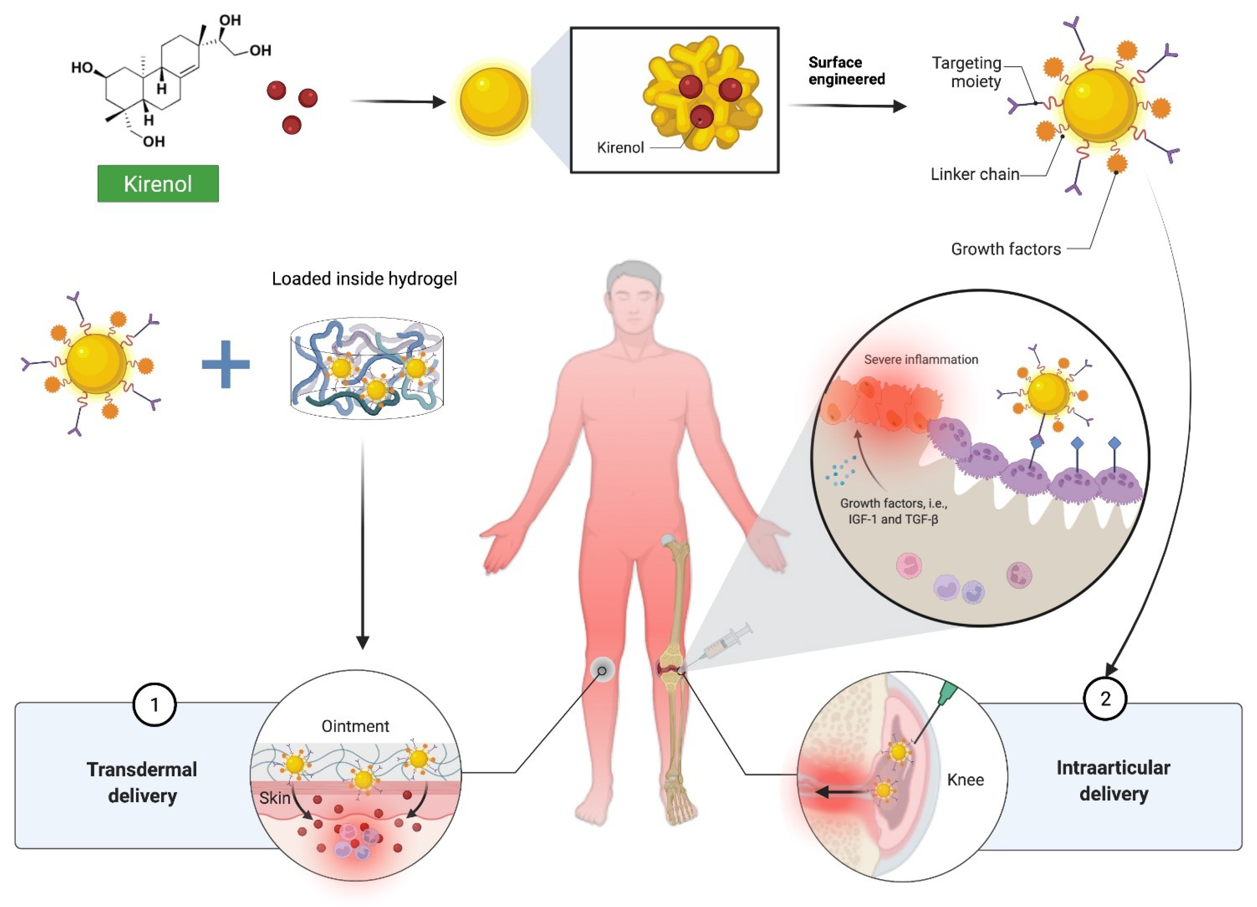 Molecules 27 00734 g008