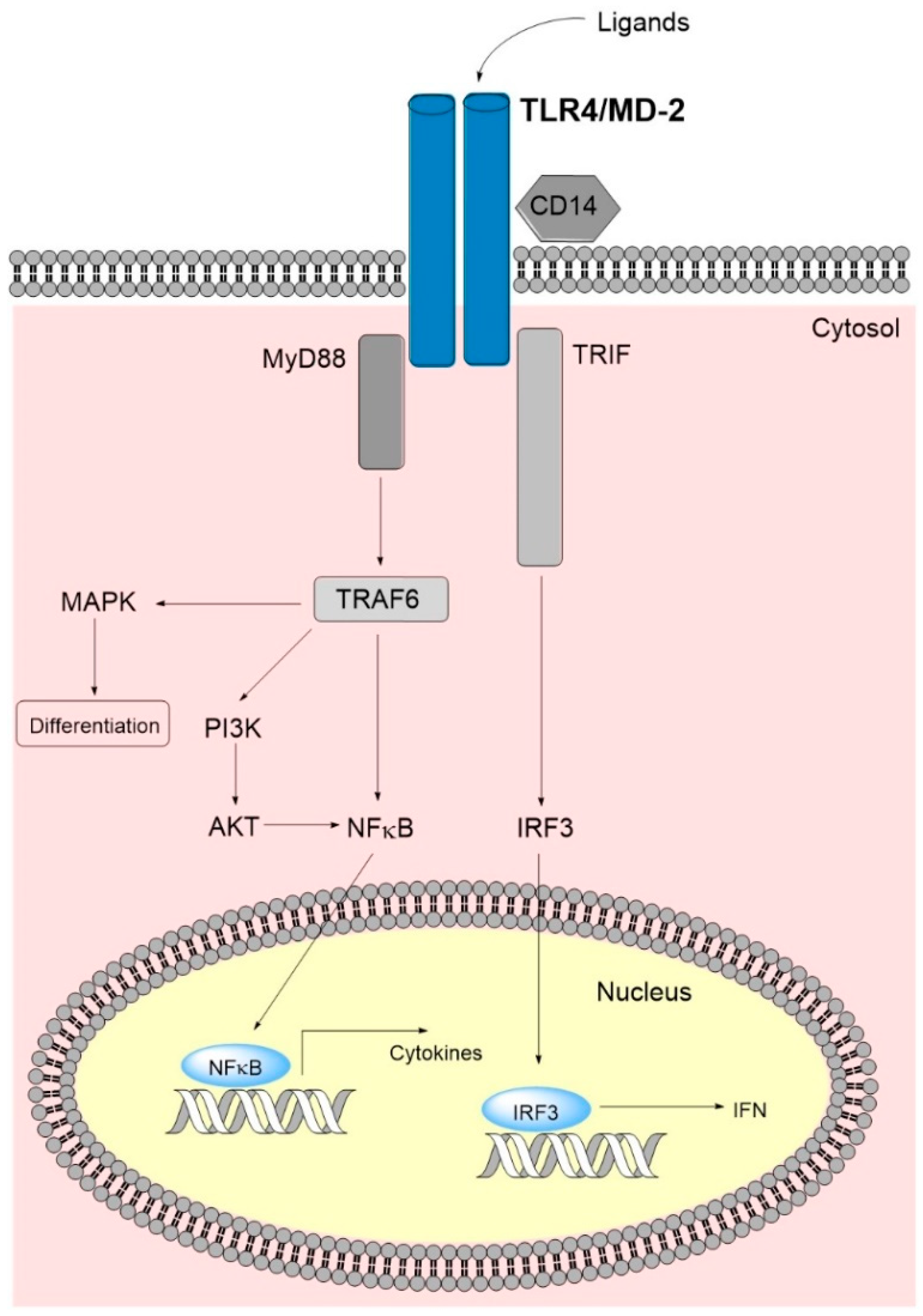 Molecules 27 00735 g001