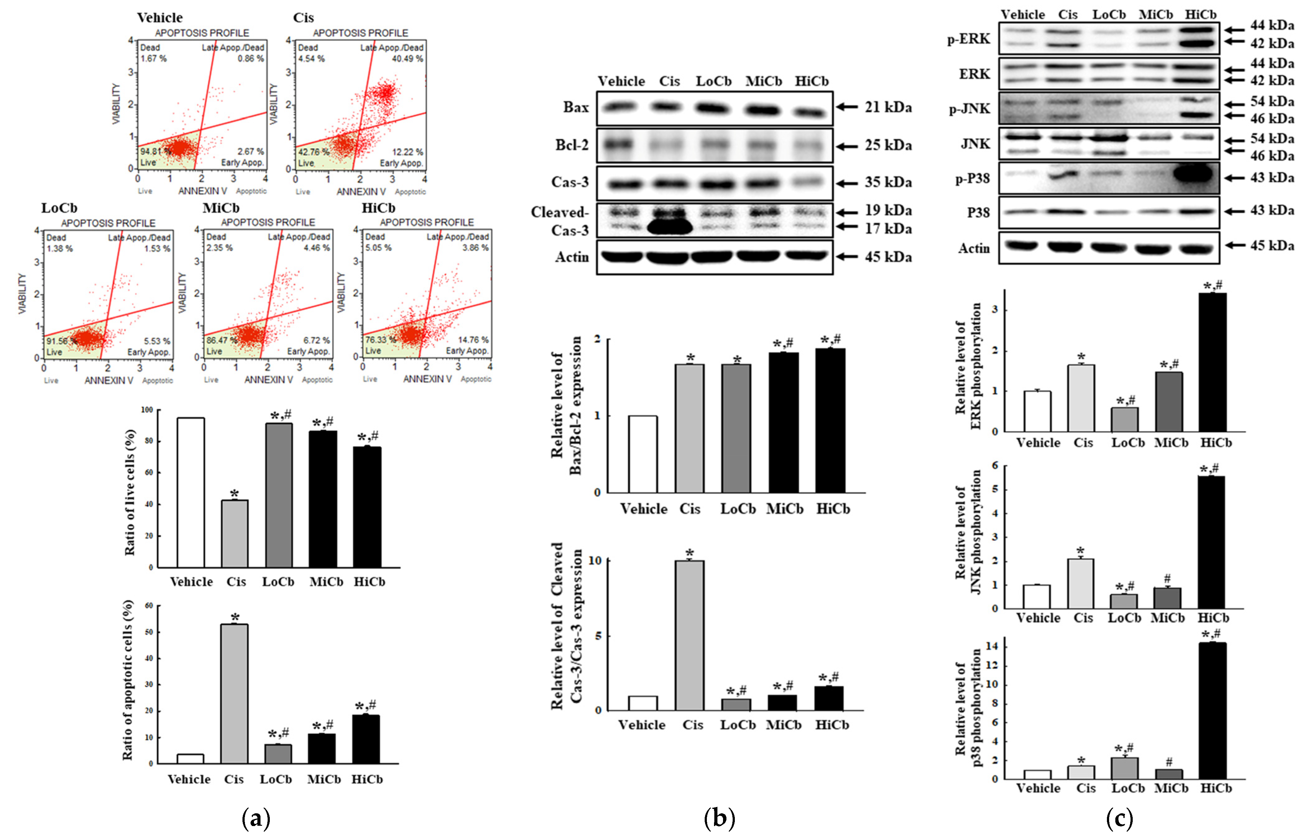 Molecules 27 00737 g002