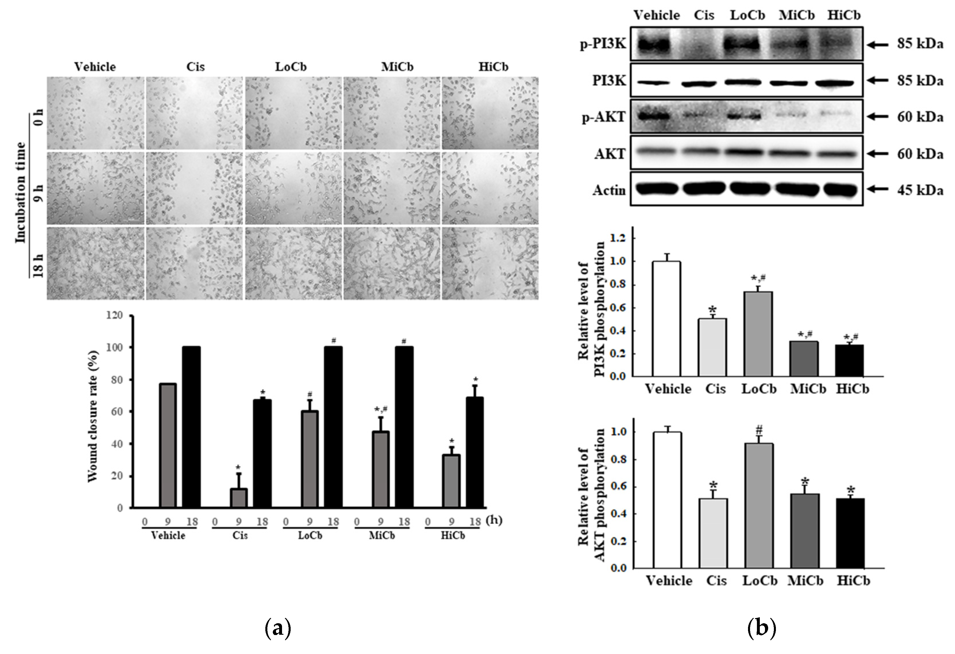 Molecules 27 00737 g003