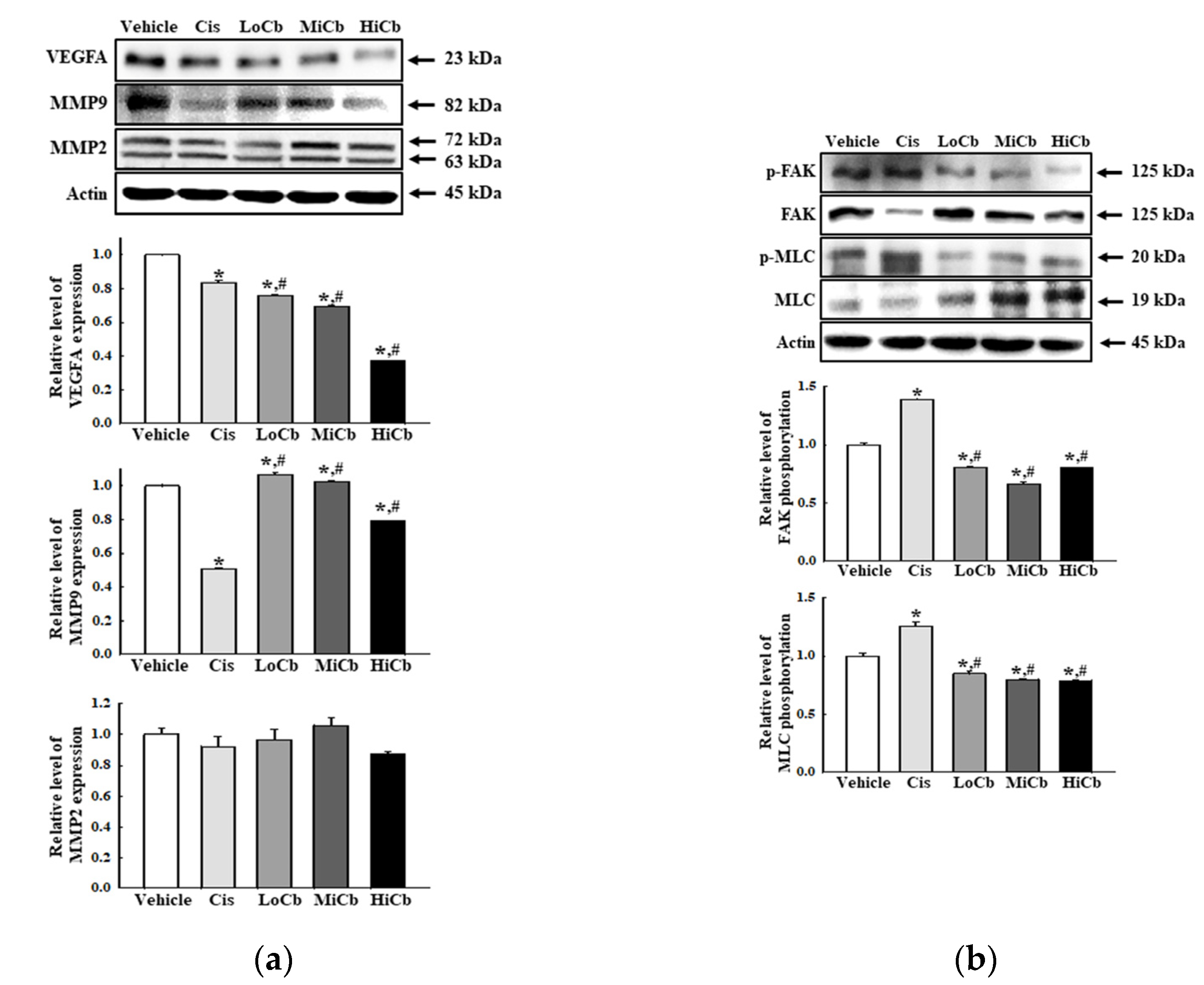 Molecules 27 00737 g004