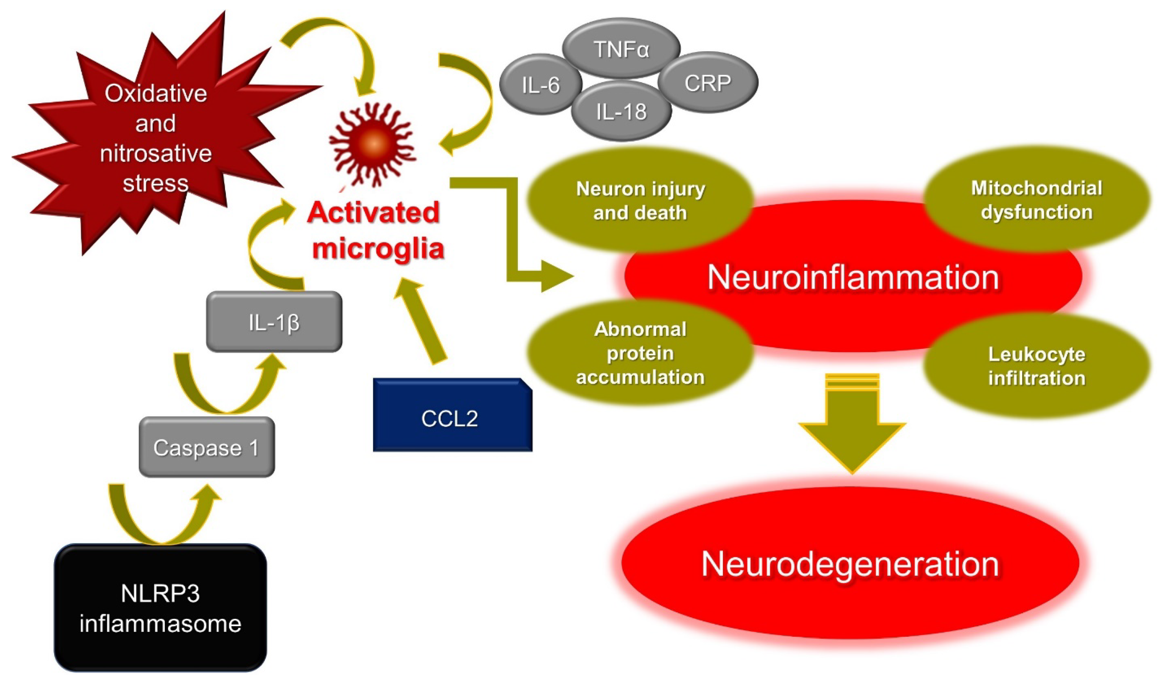 Molecules 27 00738 g001