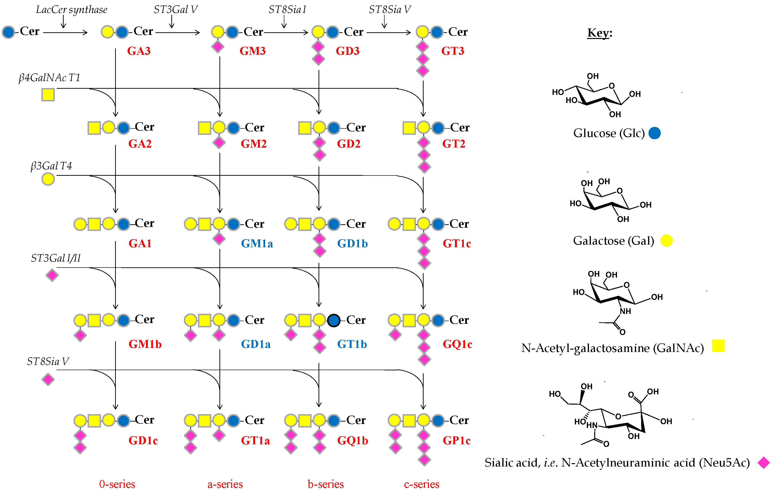 Molecules 27 00743 sch001
