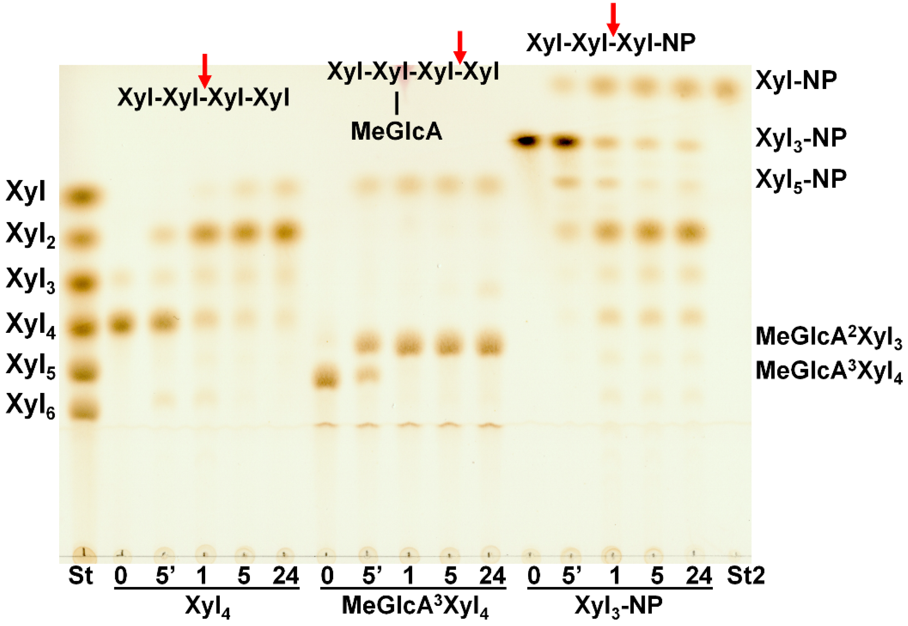 Molecules 27 00751 g006