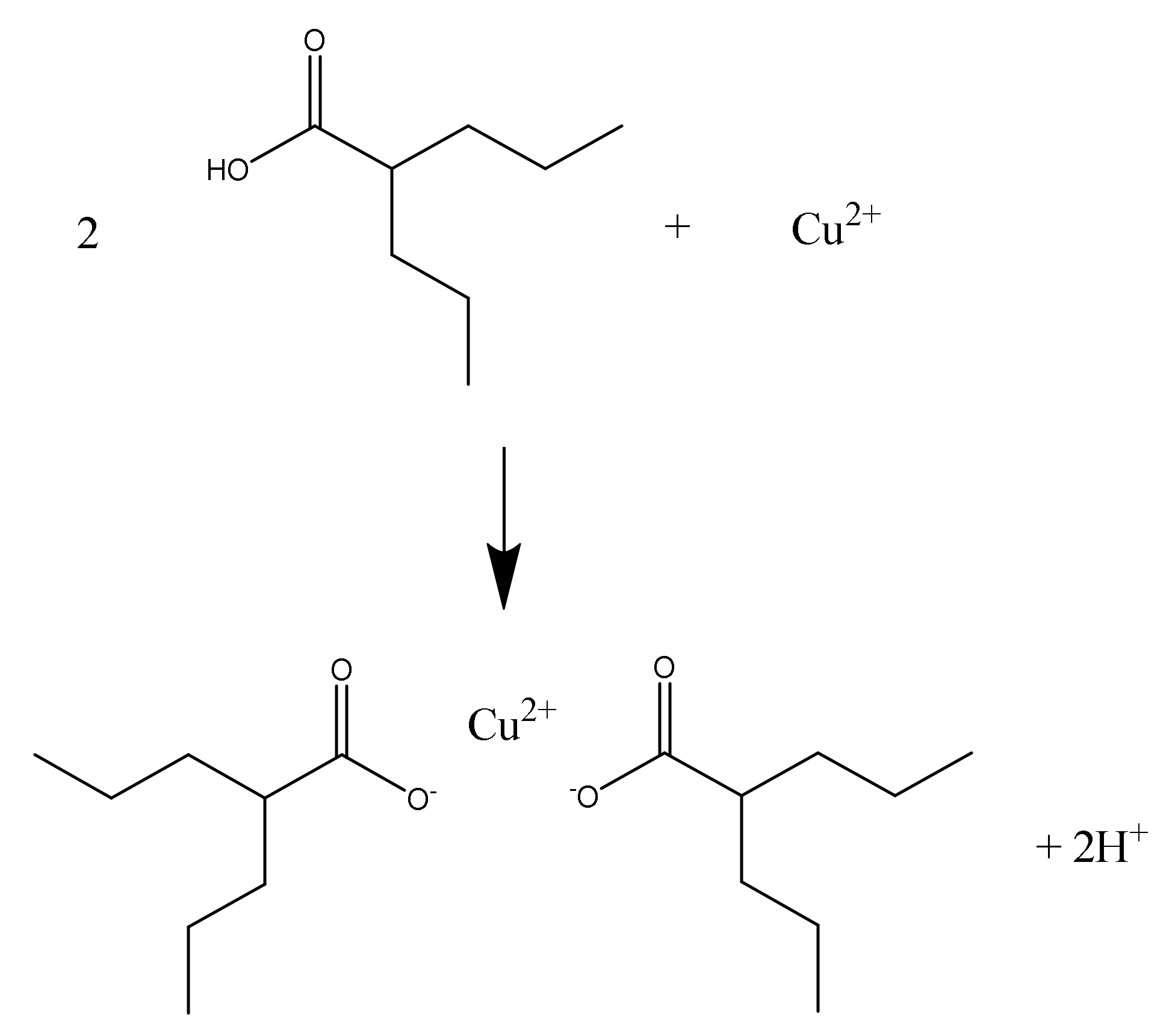 Molecules 27 00752 g002