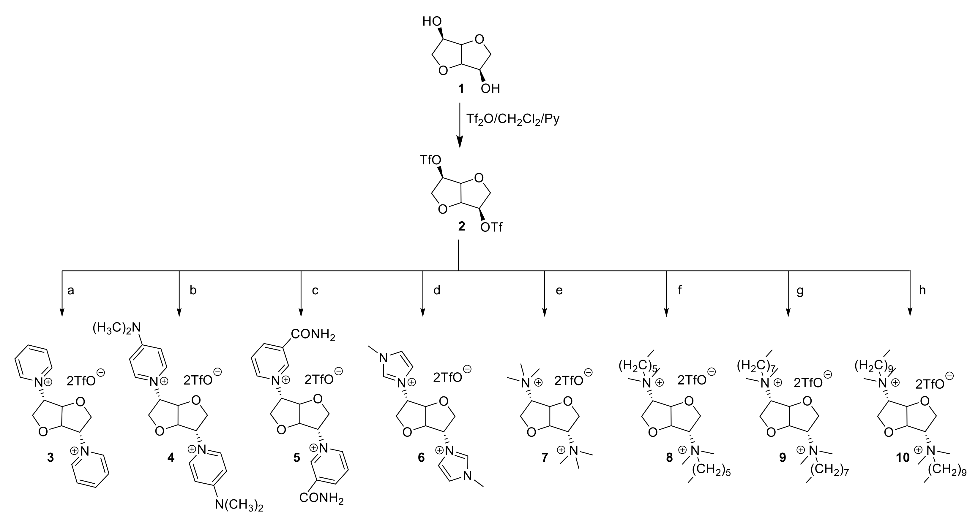Molecules 27 00757 sch001