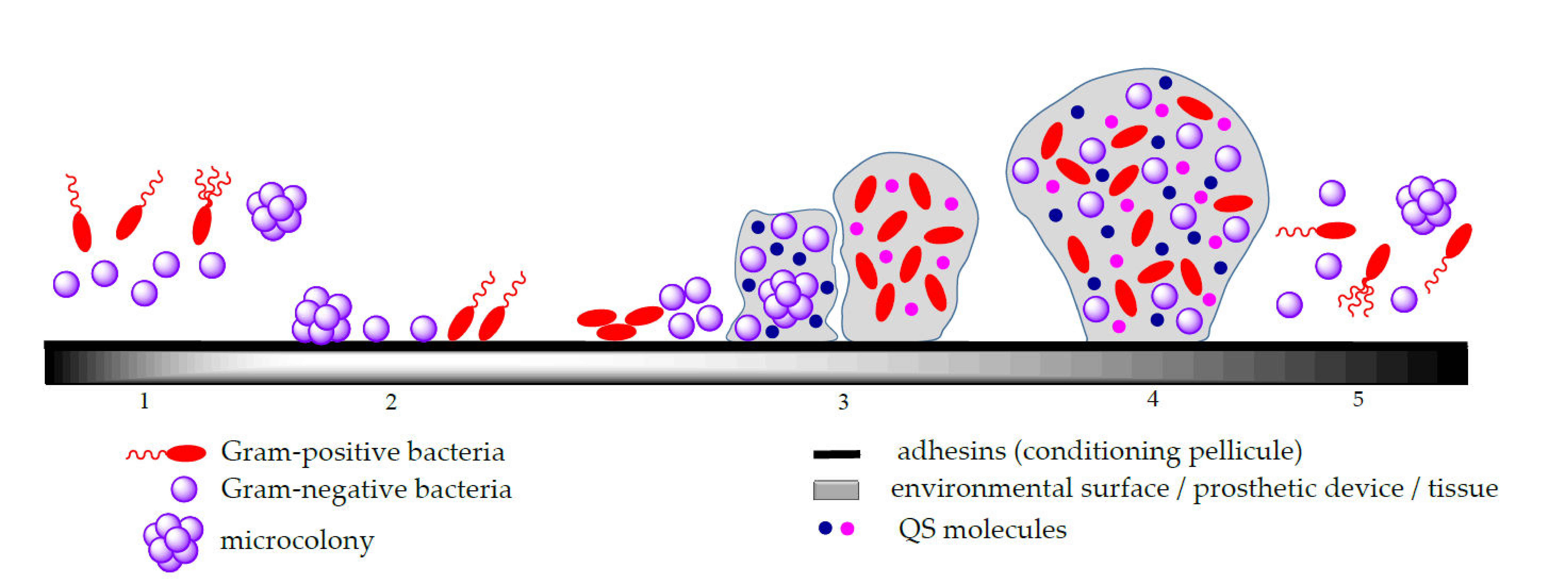 Molecules 27 00758 g001
