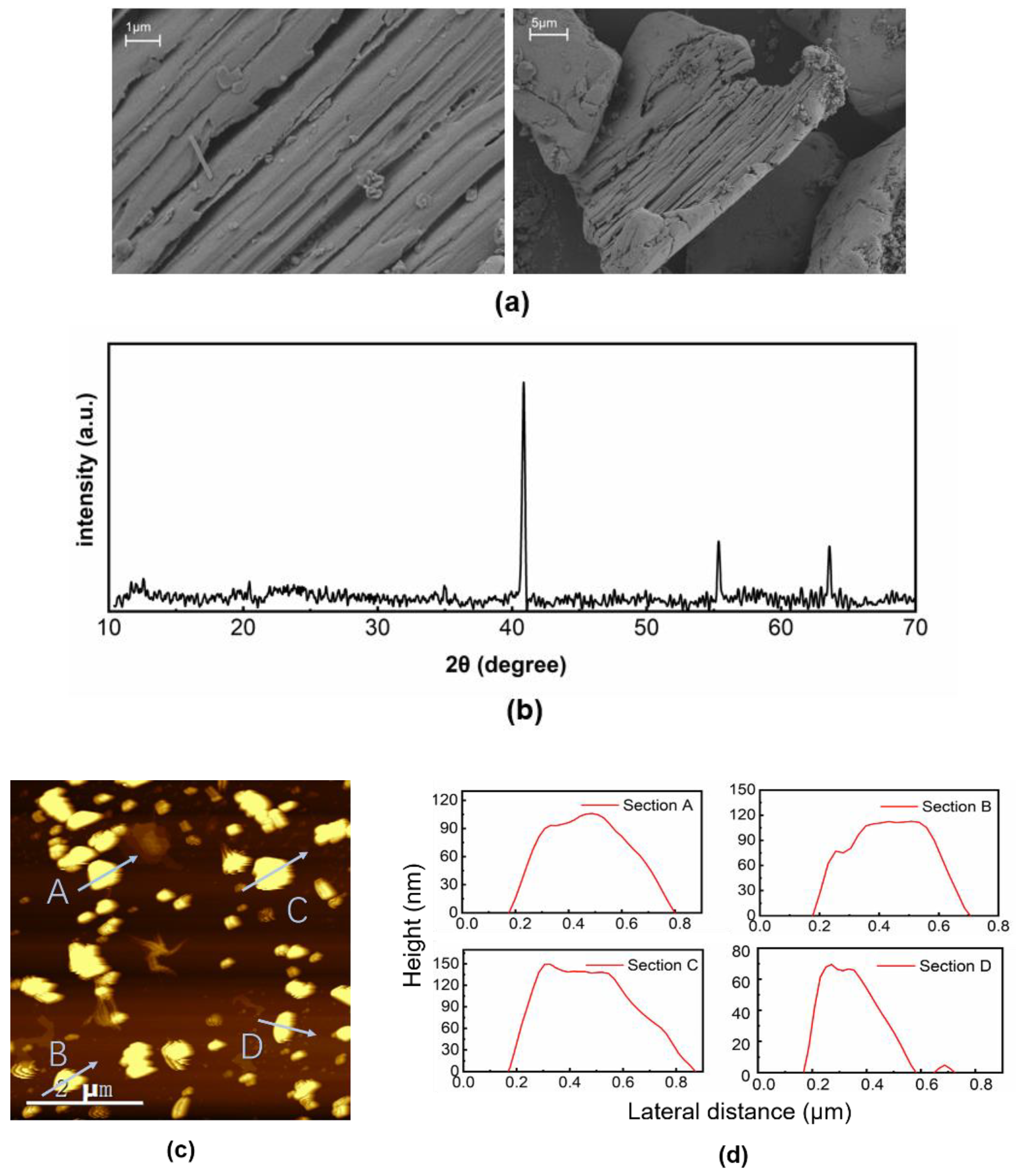 Molecules 27 00759 g001