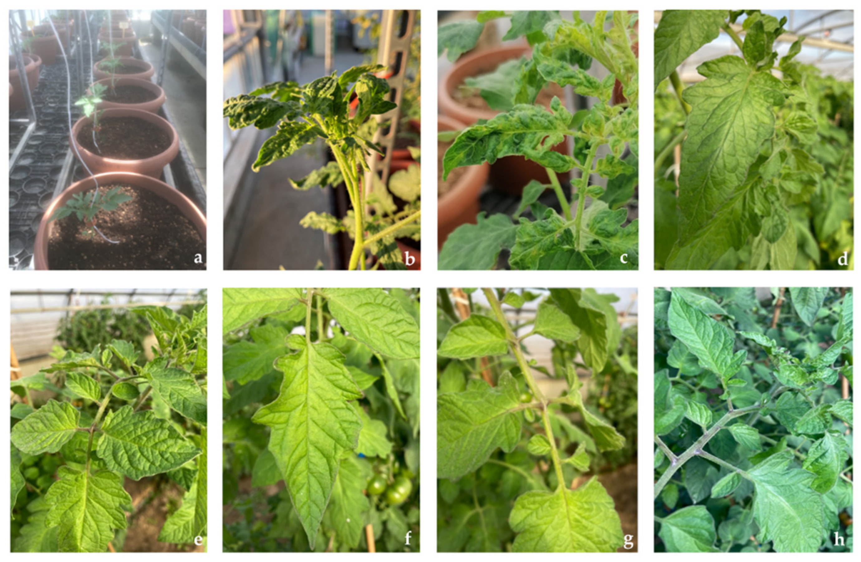 Molecules 27 00760 g003