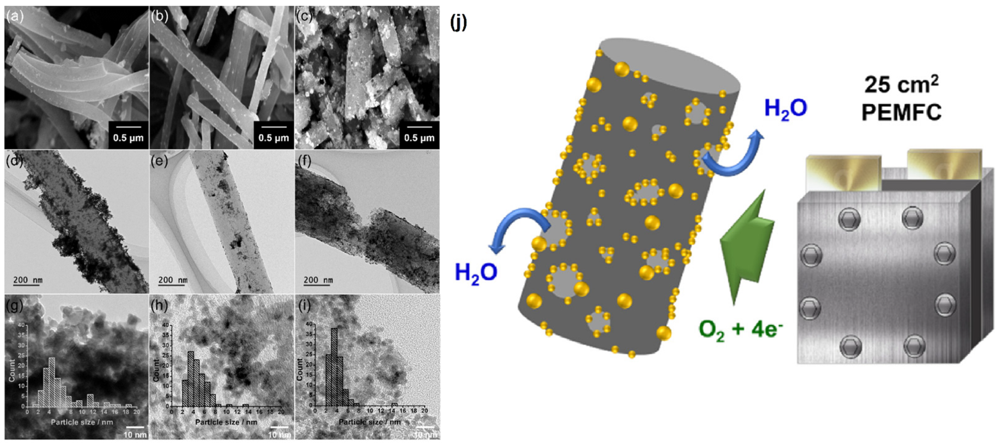 Molecules 27 00761 g005