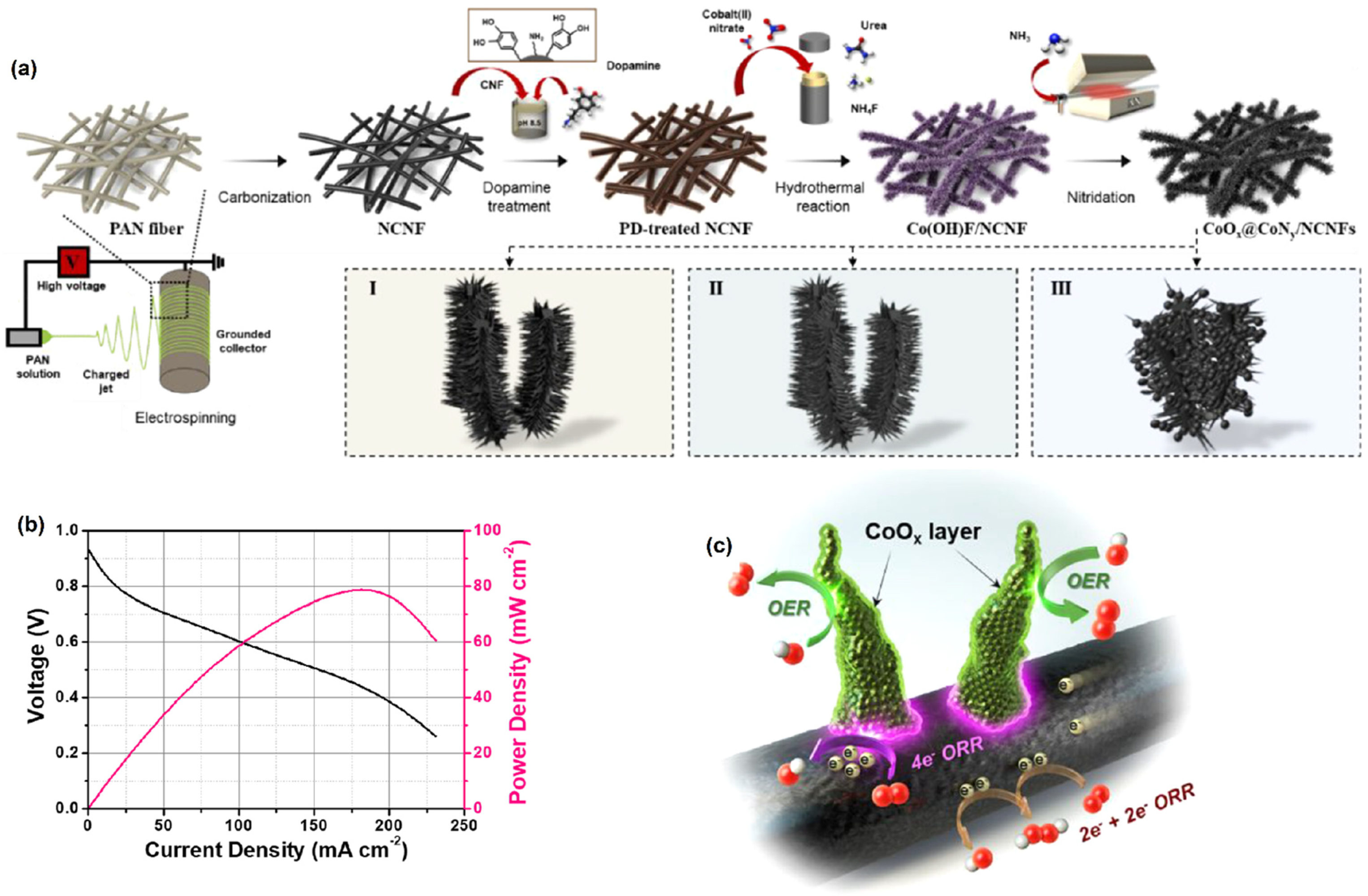 Molecules 27 00761 g007