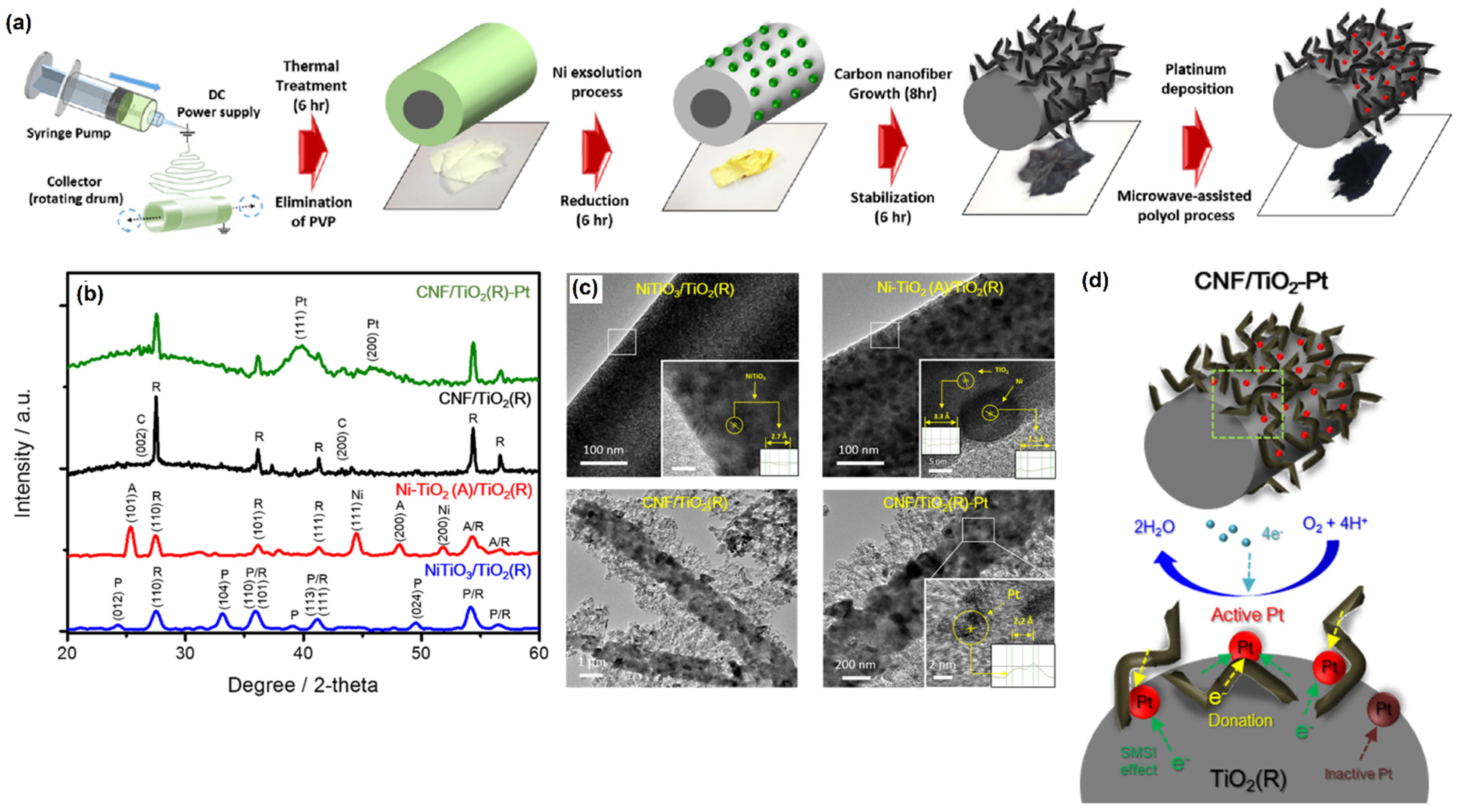 Molecules 27 00761 g008