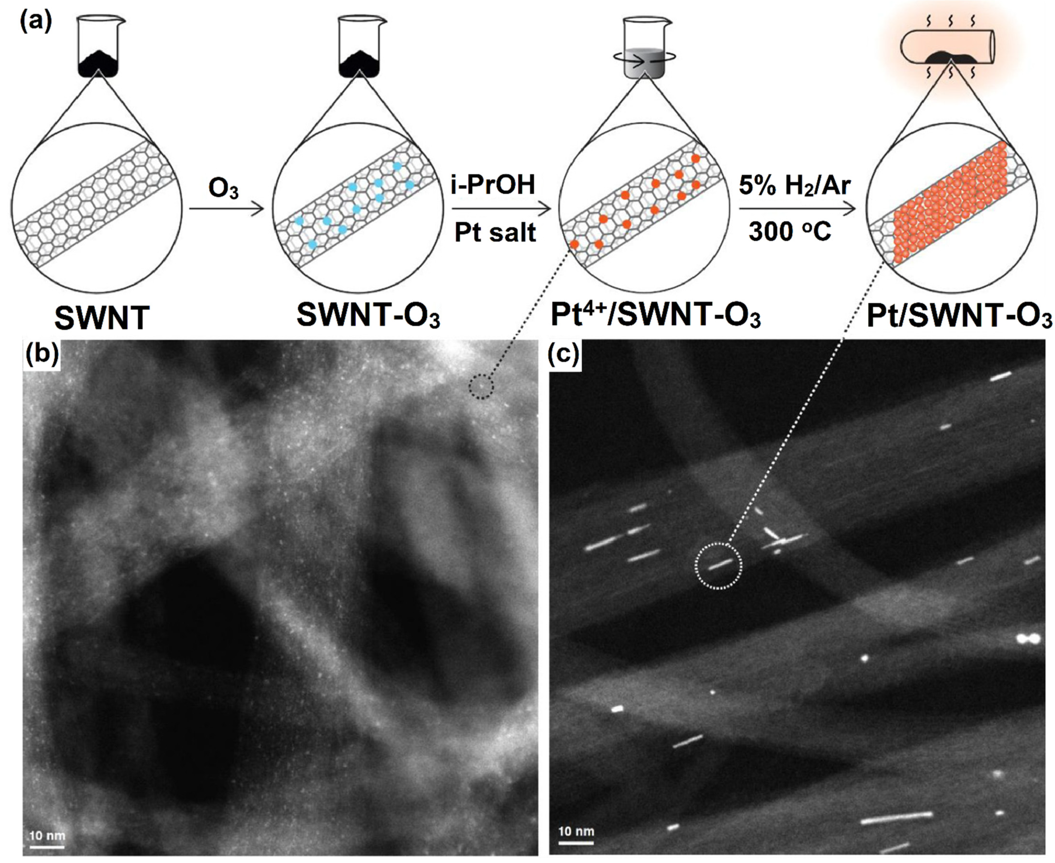 Molecules 27 00761 g010
