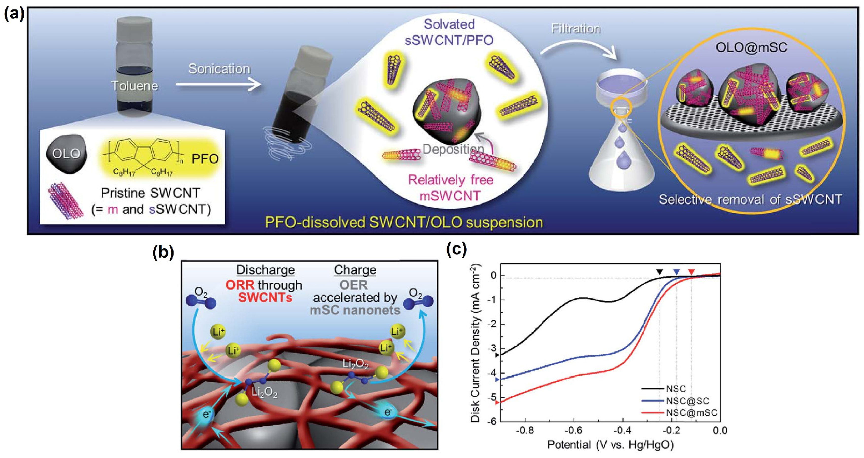 Molecules 27 00761 g012
