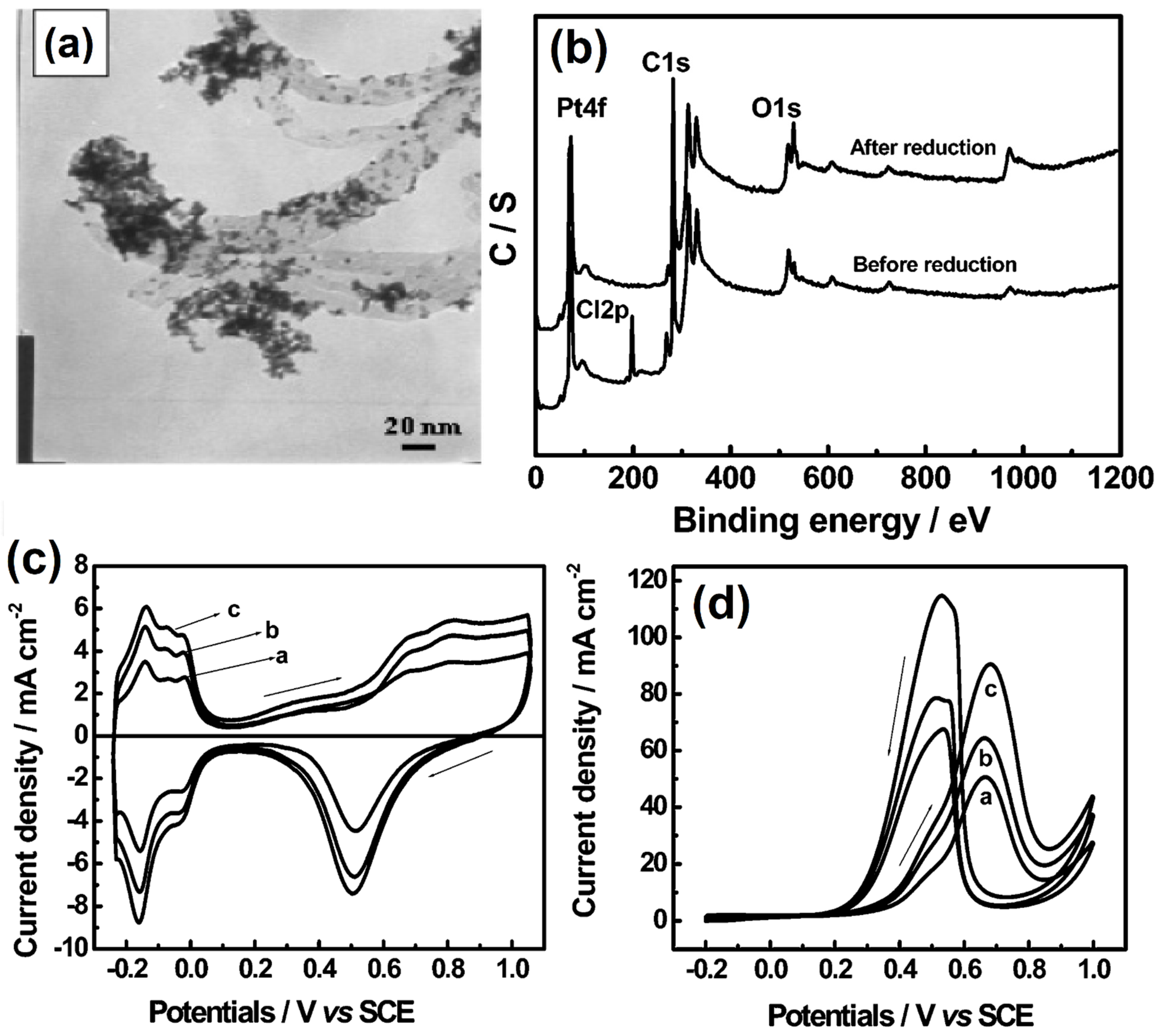 Molecules 27 00761 g013