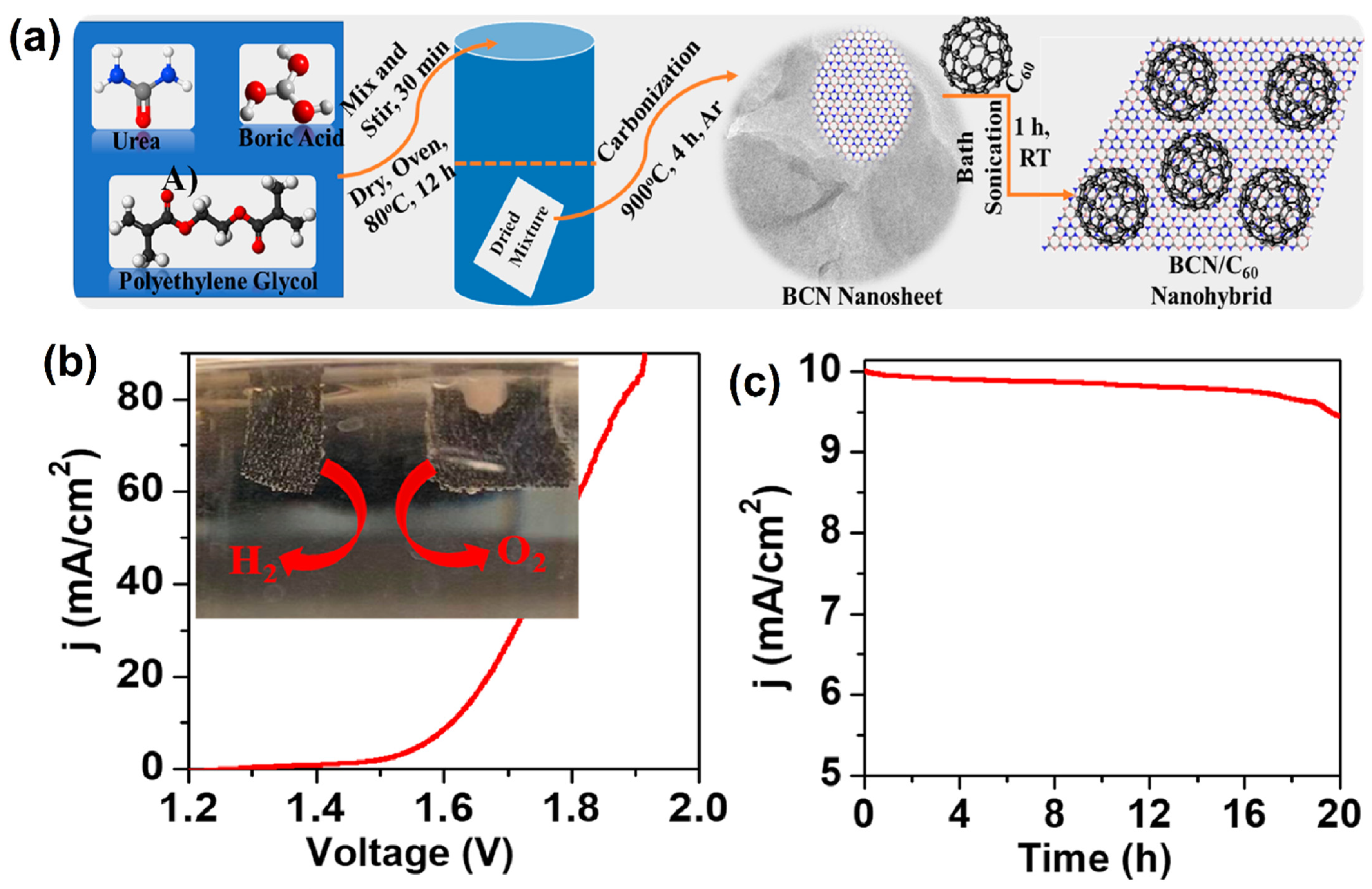 Molecules 27 00761 g016