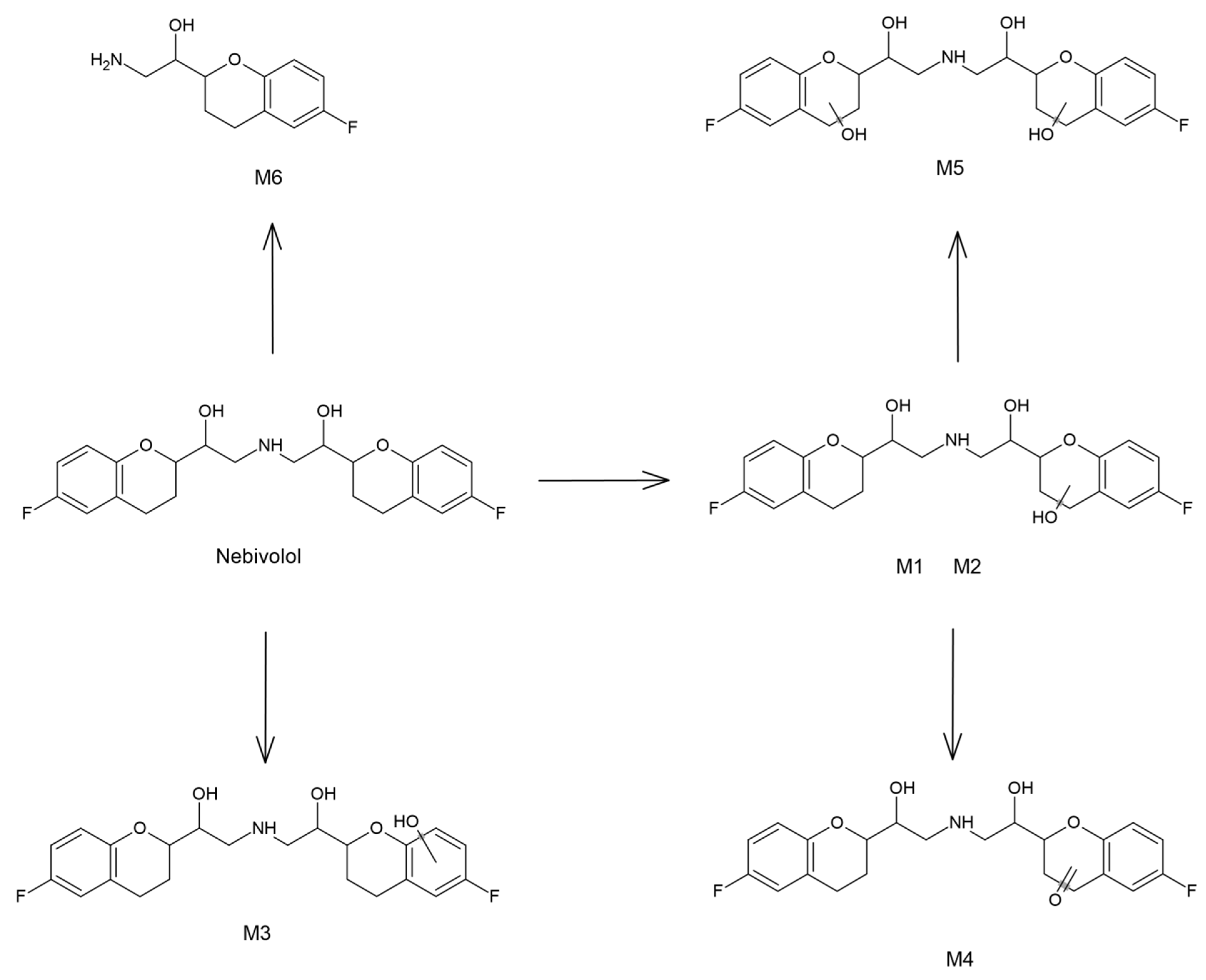 Molecules 27 00763 g006