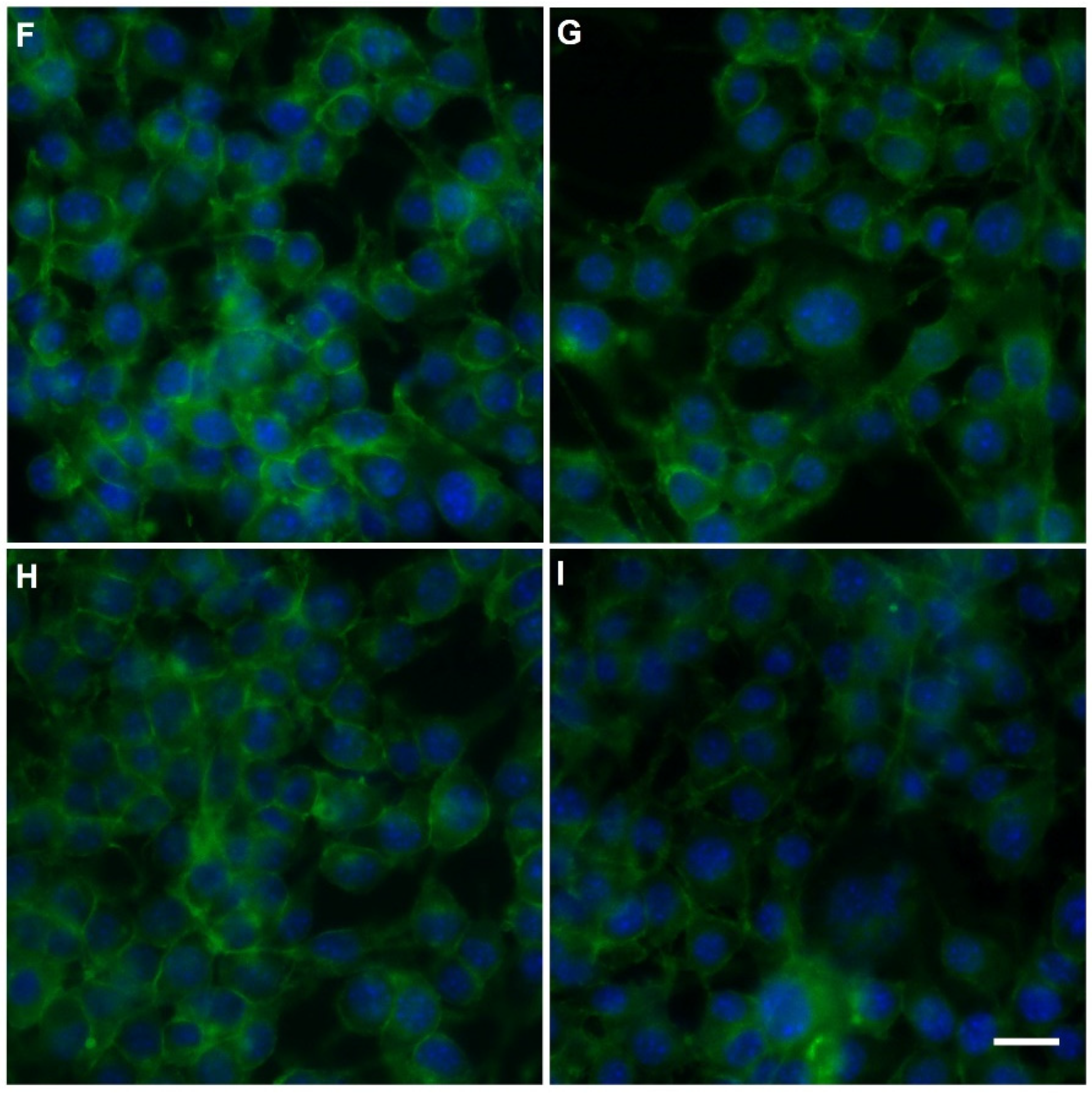 Molecules 27 00765 g010b