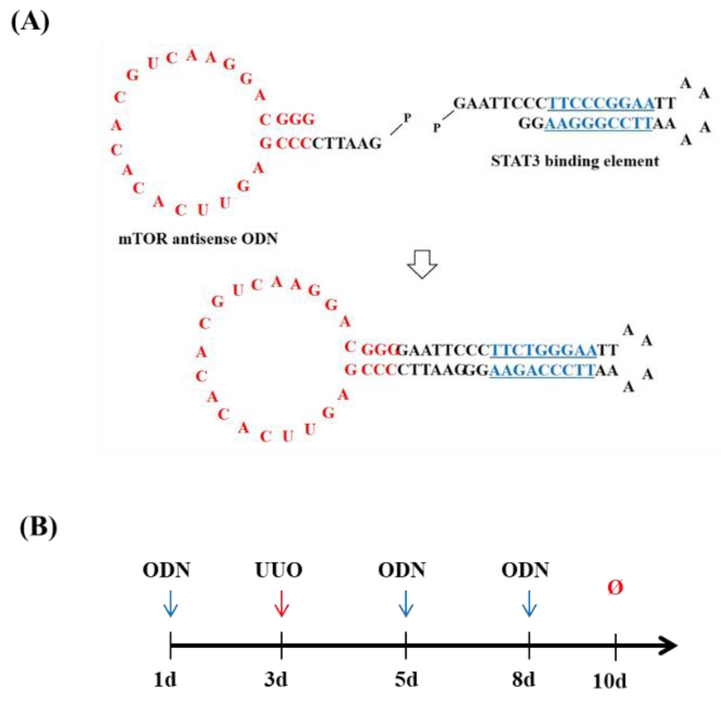 Molecules 27 00766 g001
