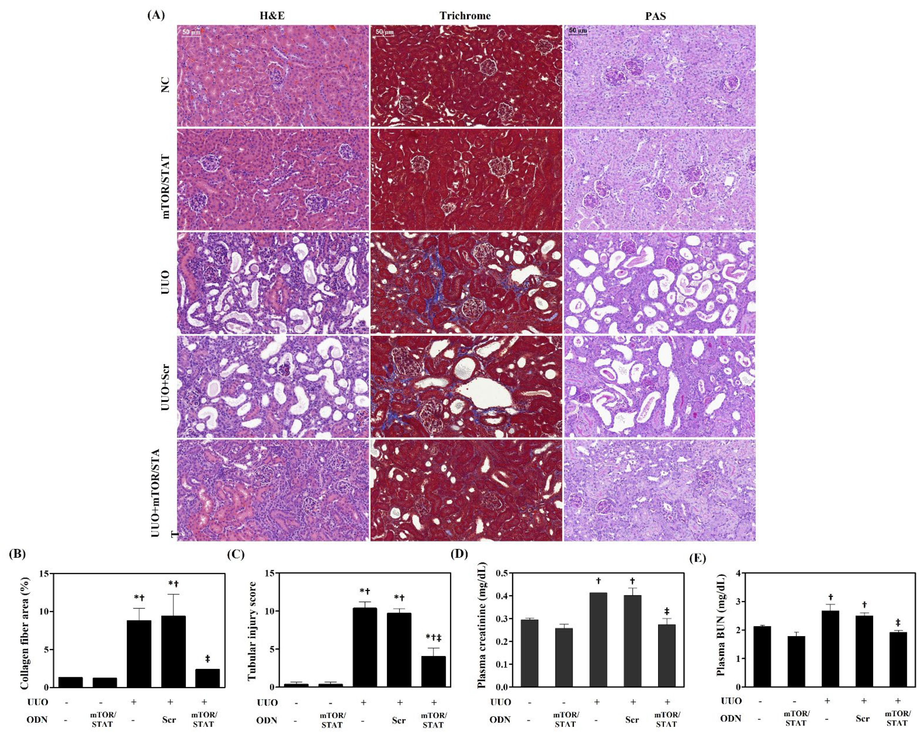 Molecules 27 00766 g002