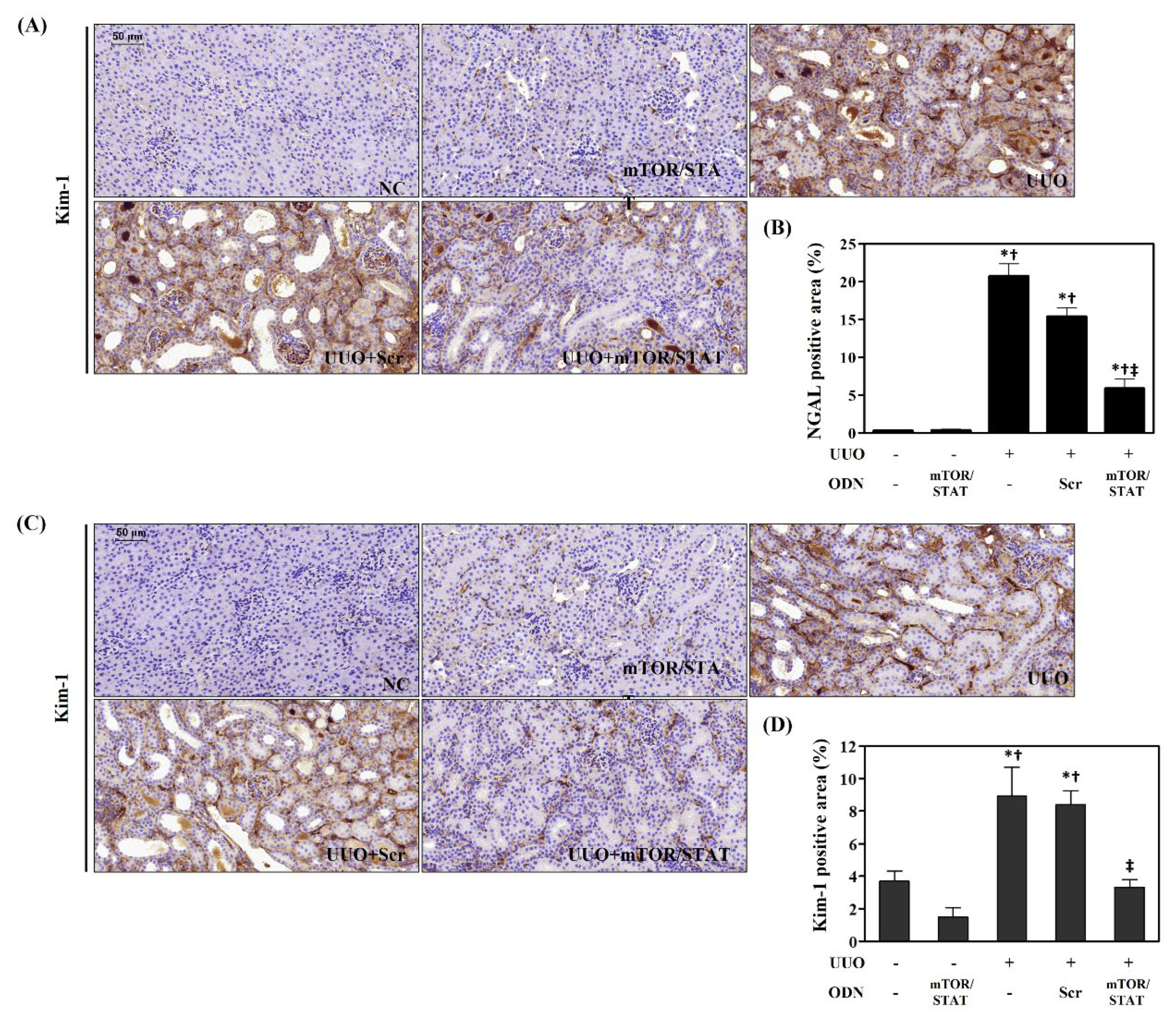 Molecules 27 00766 g003