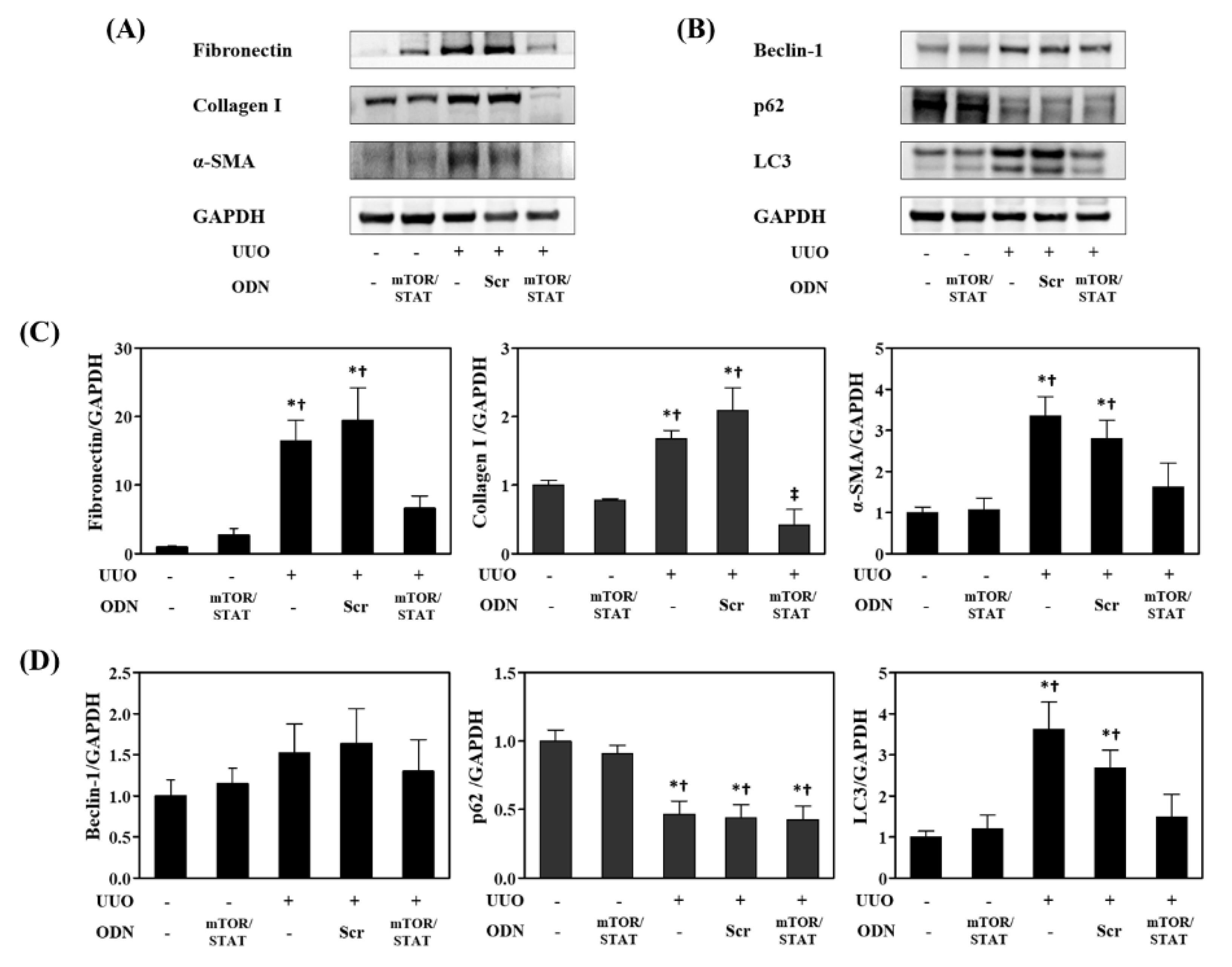 Molecules 27 00766 g006
