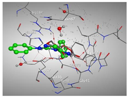 Molecules 27 00767 i002