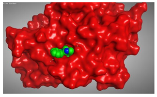Molecules 27 00767 i003
