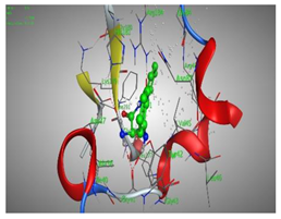 Molecules 27 00767 i011
