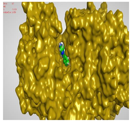 Molecules 27 00767 i018